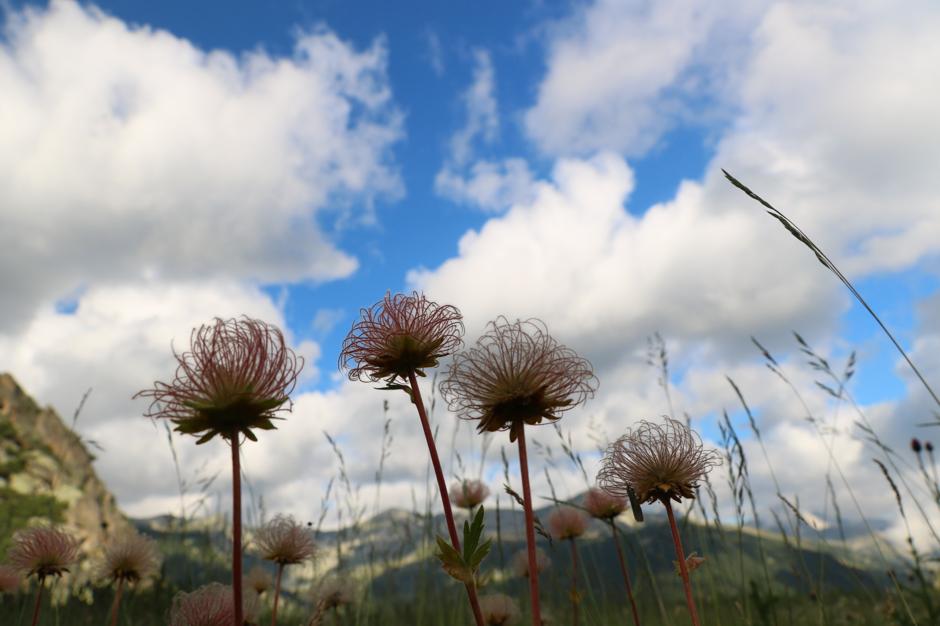 Canon EOS 750D (EOS Rebel T6i / EOS Kiss X8i) sample photo. Pirin mountain  photography