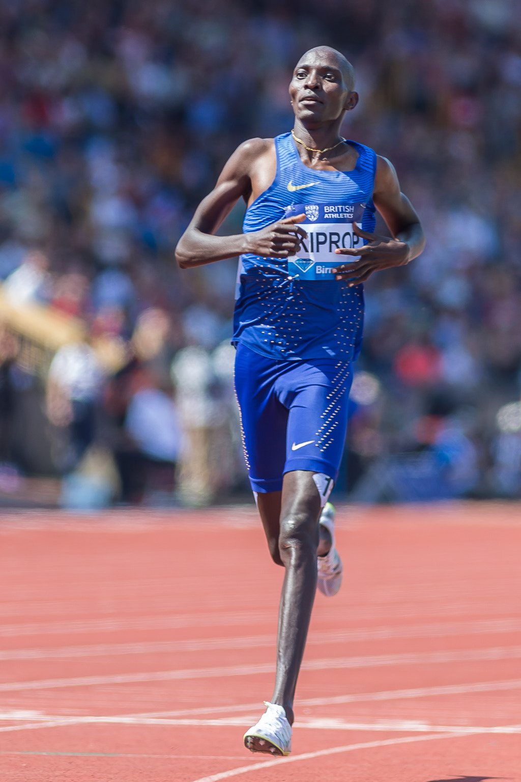 Canon EF 200mm F2.8L II USM sample photo. Birmingham diamond league - 5th june 2016 photography