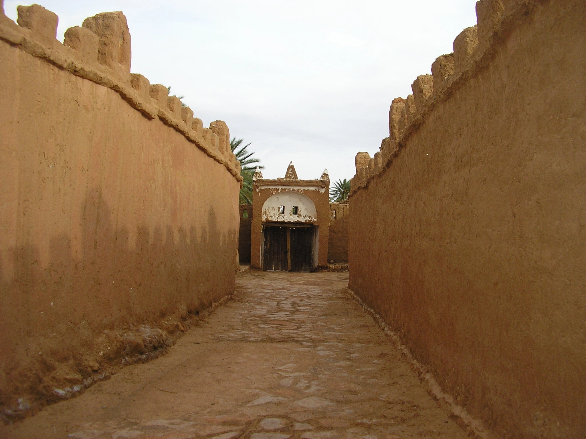 Olympus X100,D540Z,C310Z sample photo. Mougheul,algerian sahara photography