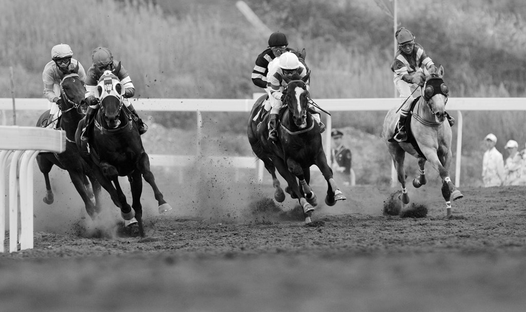 Nikon D2X sample photo. Horse racing photography