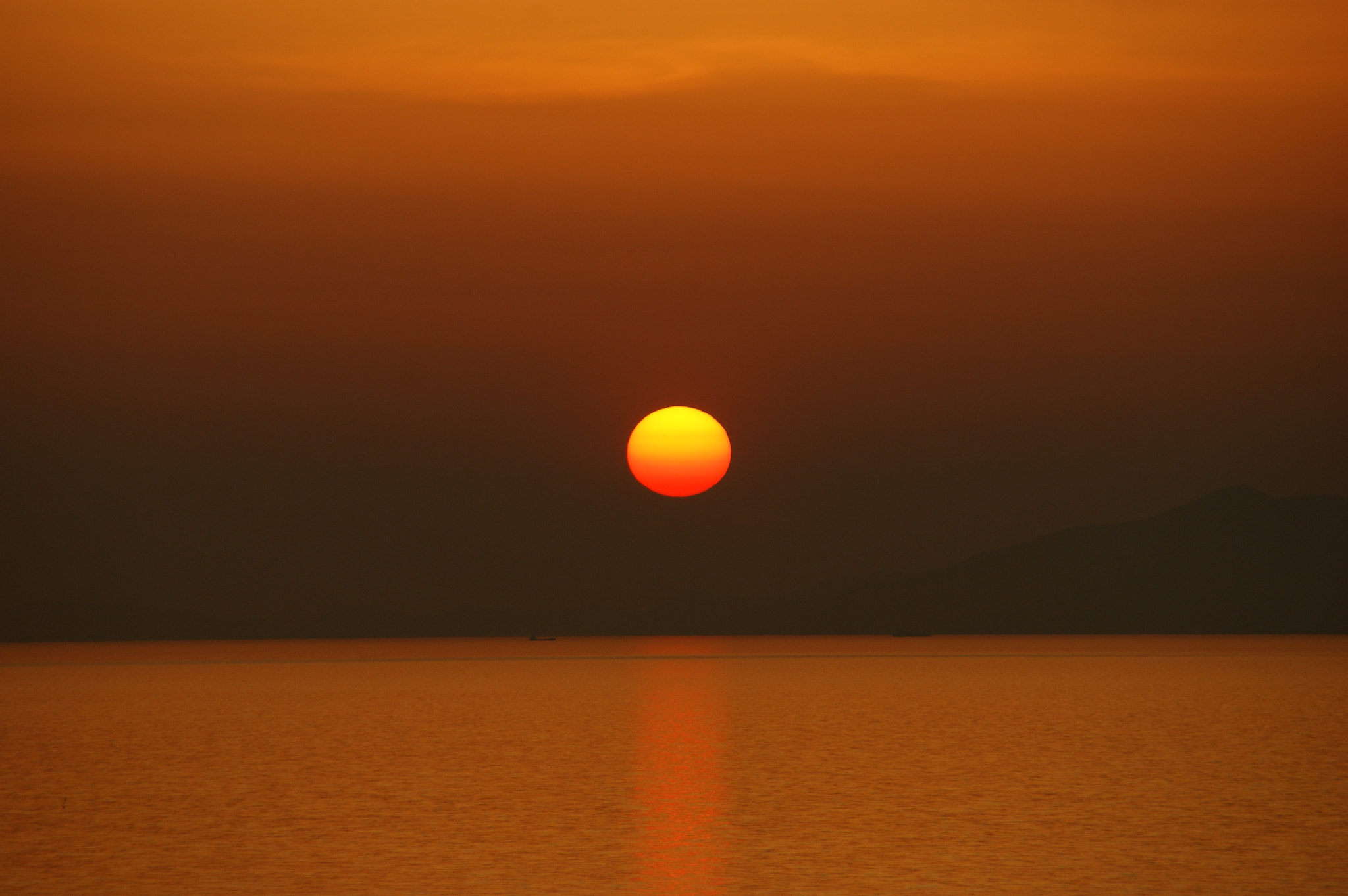 Sony DT 18-200mm F3.5-6.3 sample photo. Untitled photography