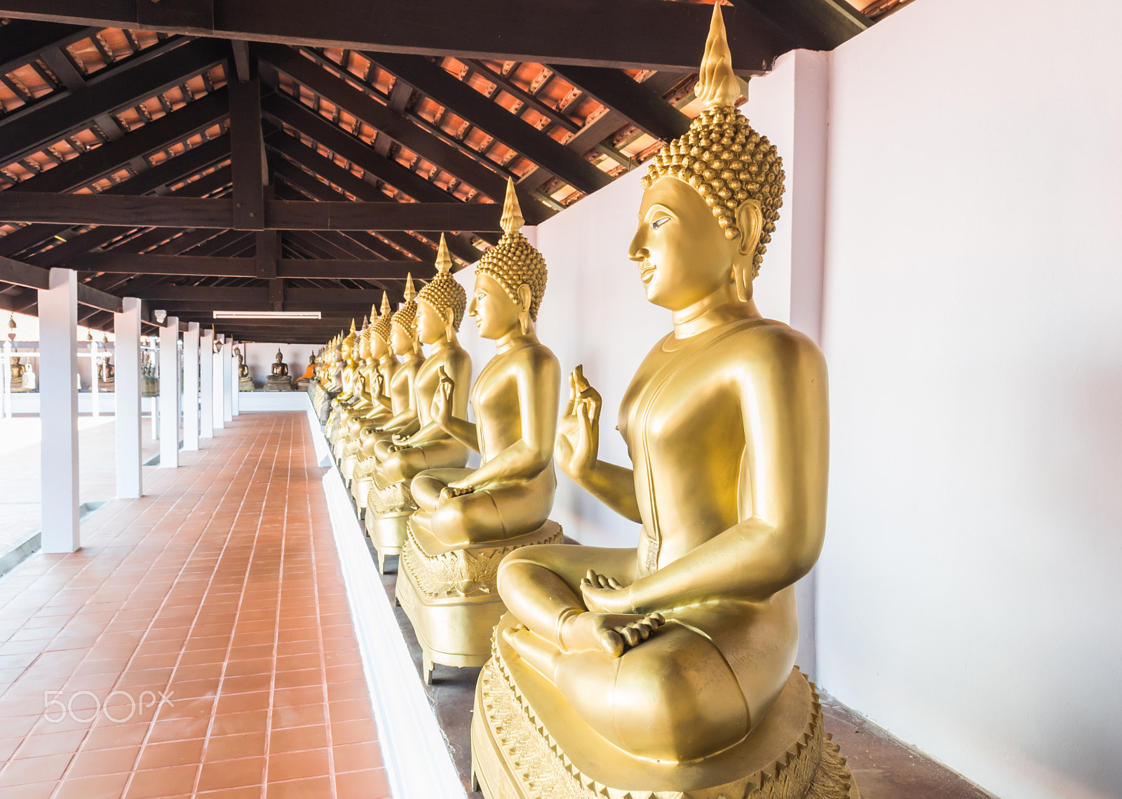 Nikon D3100 sample photo. Buddha statue photography