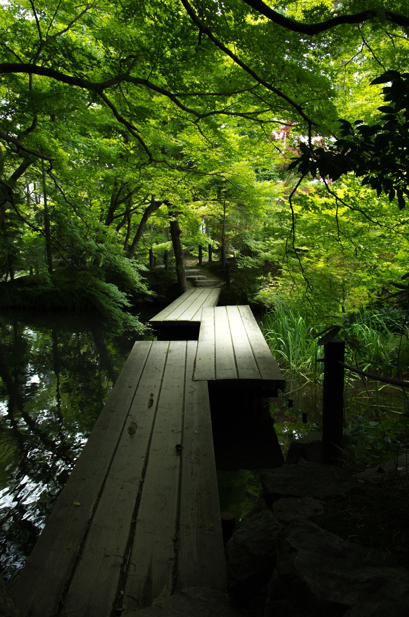 Pentax smc DA 17-70mm F4.0 AL (IF) SDM sample photo. Kyoto photography