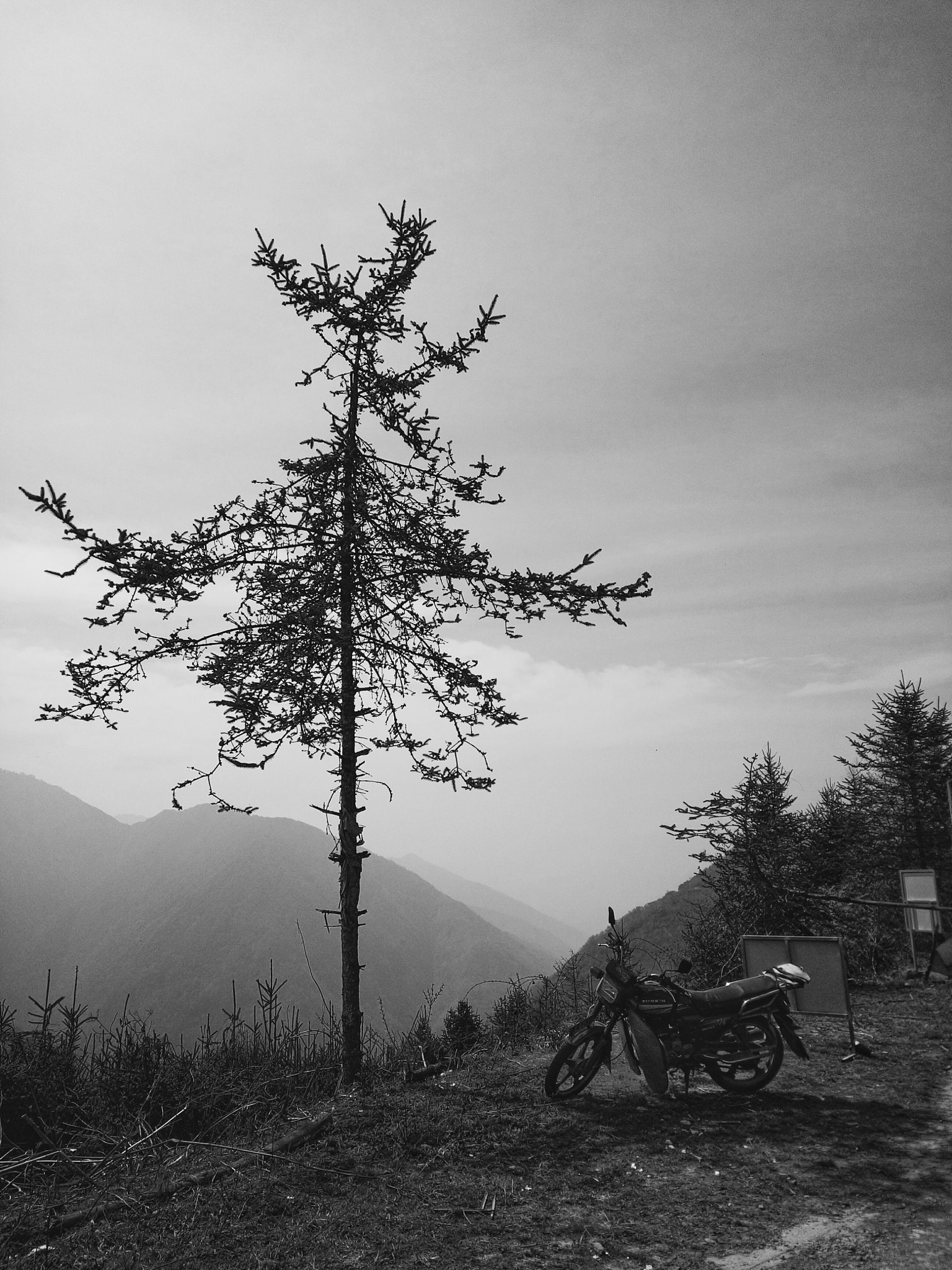 OPPO R7 Plus sample photo. 孤树和摩托车 photography