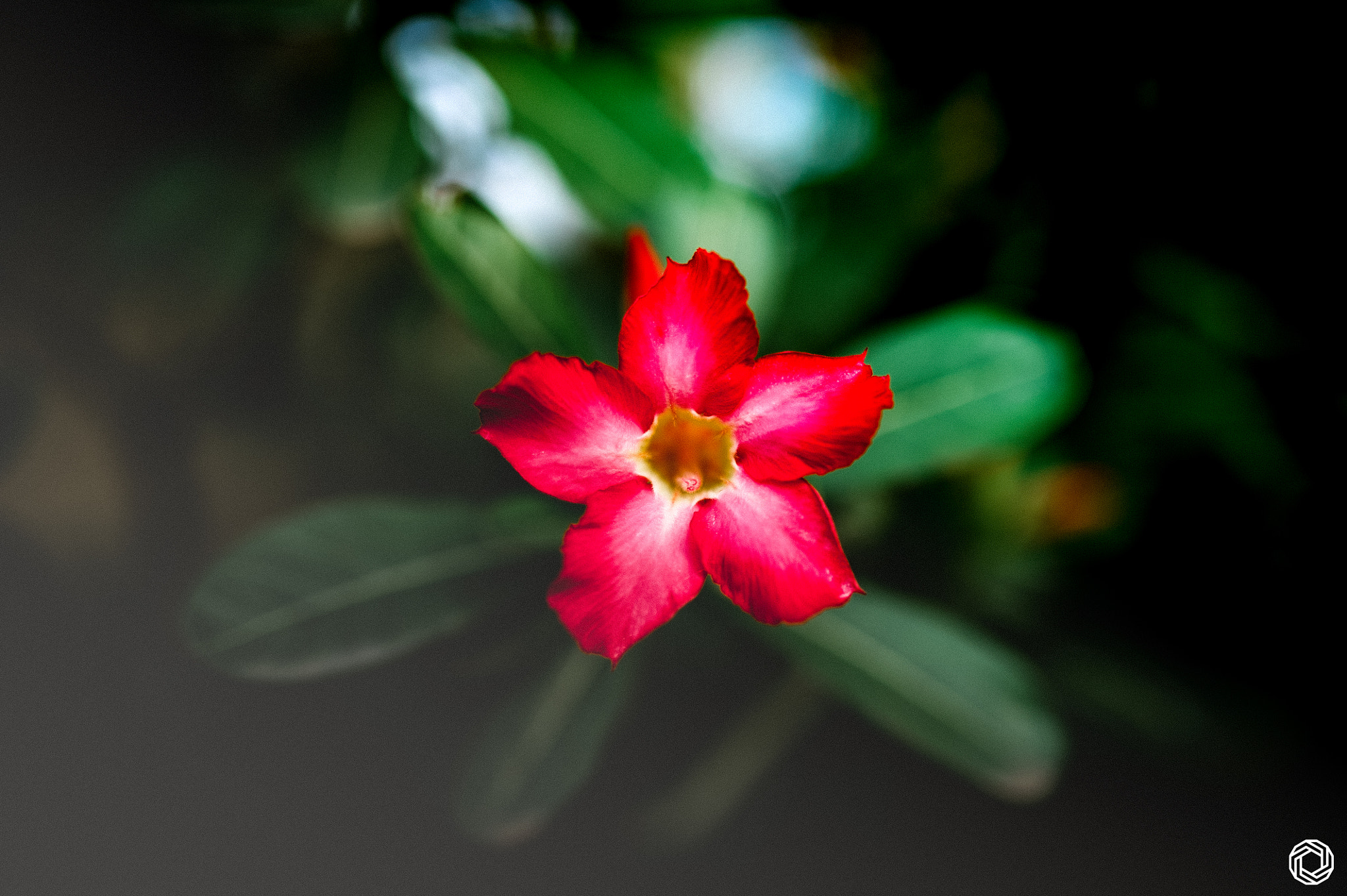 Nikon D3S + Sigma 35mm F1.4 DG HSM Art sample photo. De-haze photography