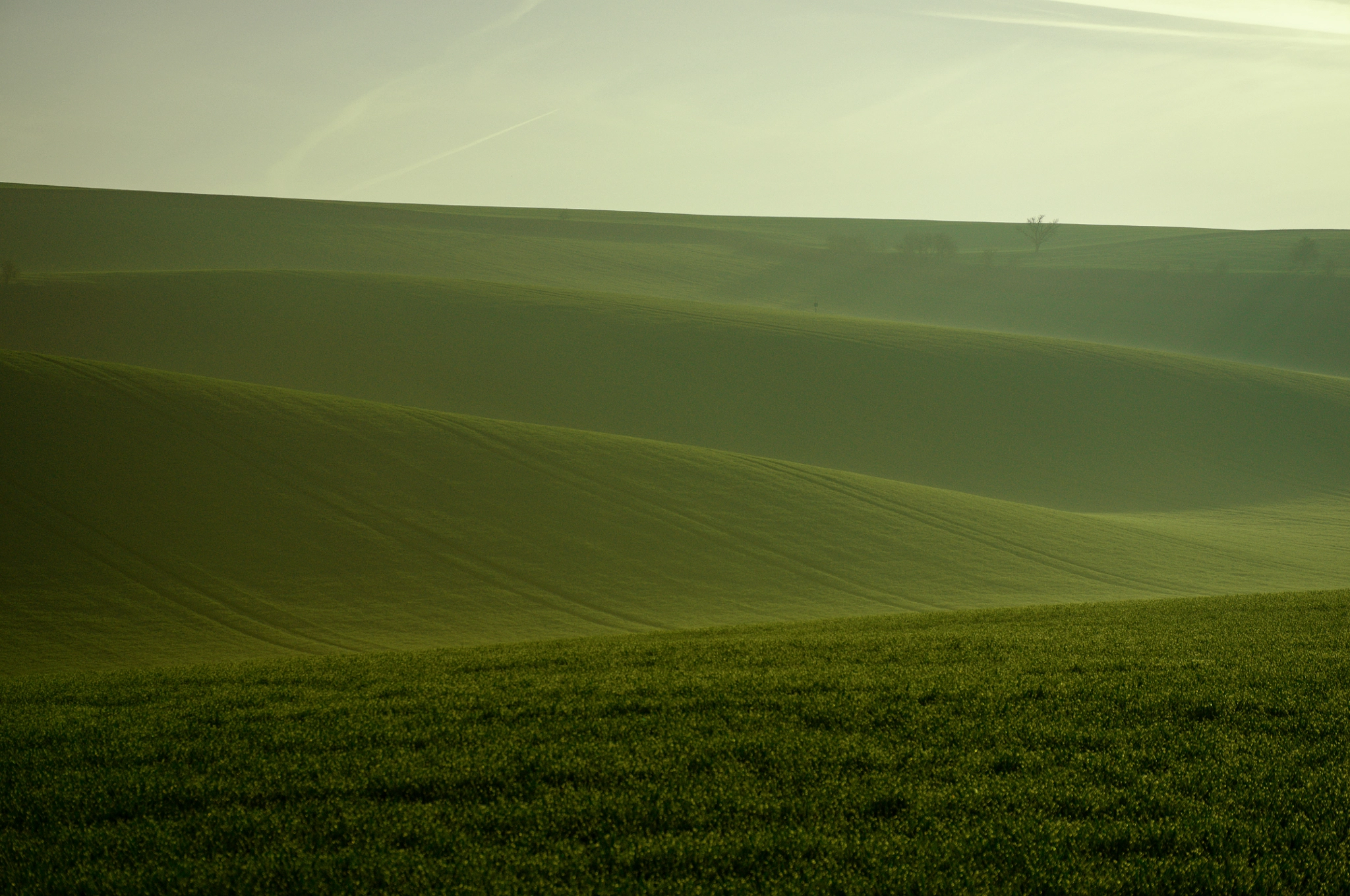 Nikon D5000 sample photo. Foggy morning photography
