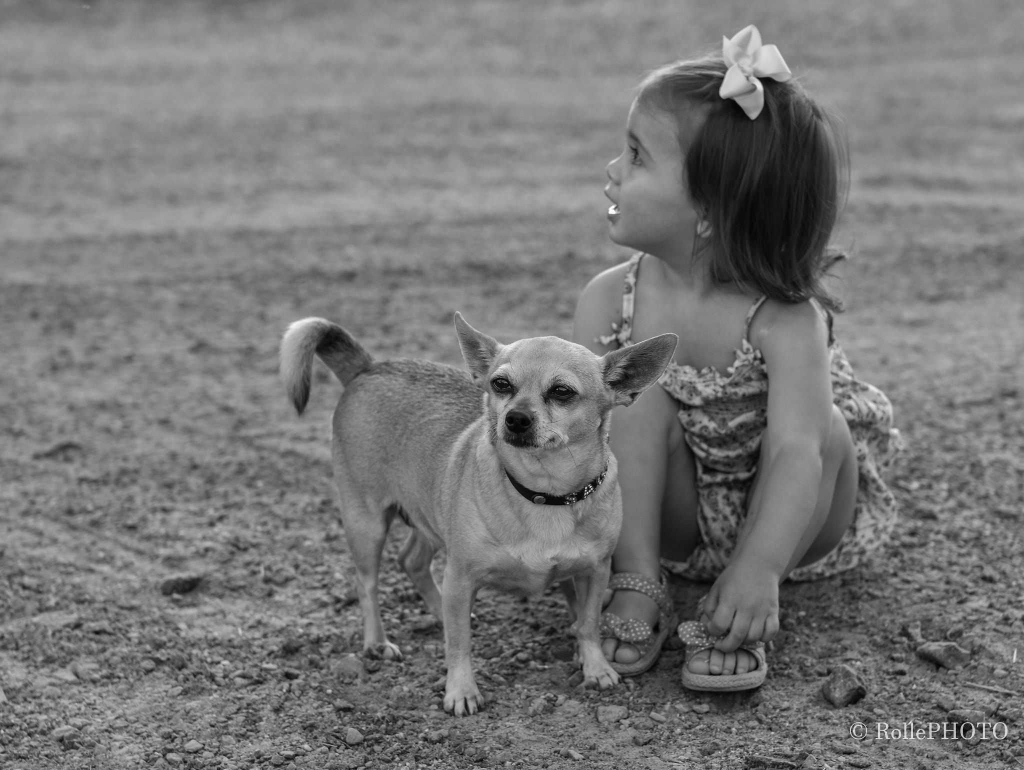 Nikon D7200 + Sigma 50mm F1.4 EX DG HSM sample photo. Small dog and a little girl photography
