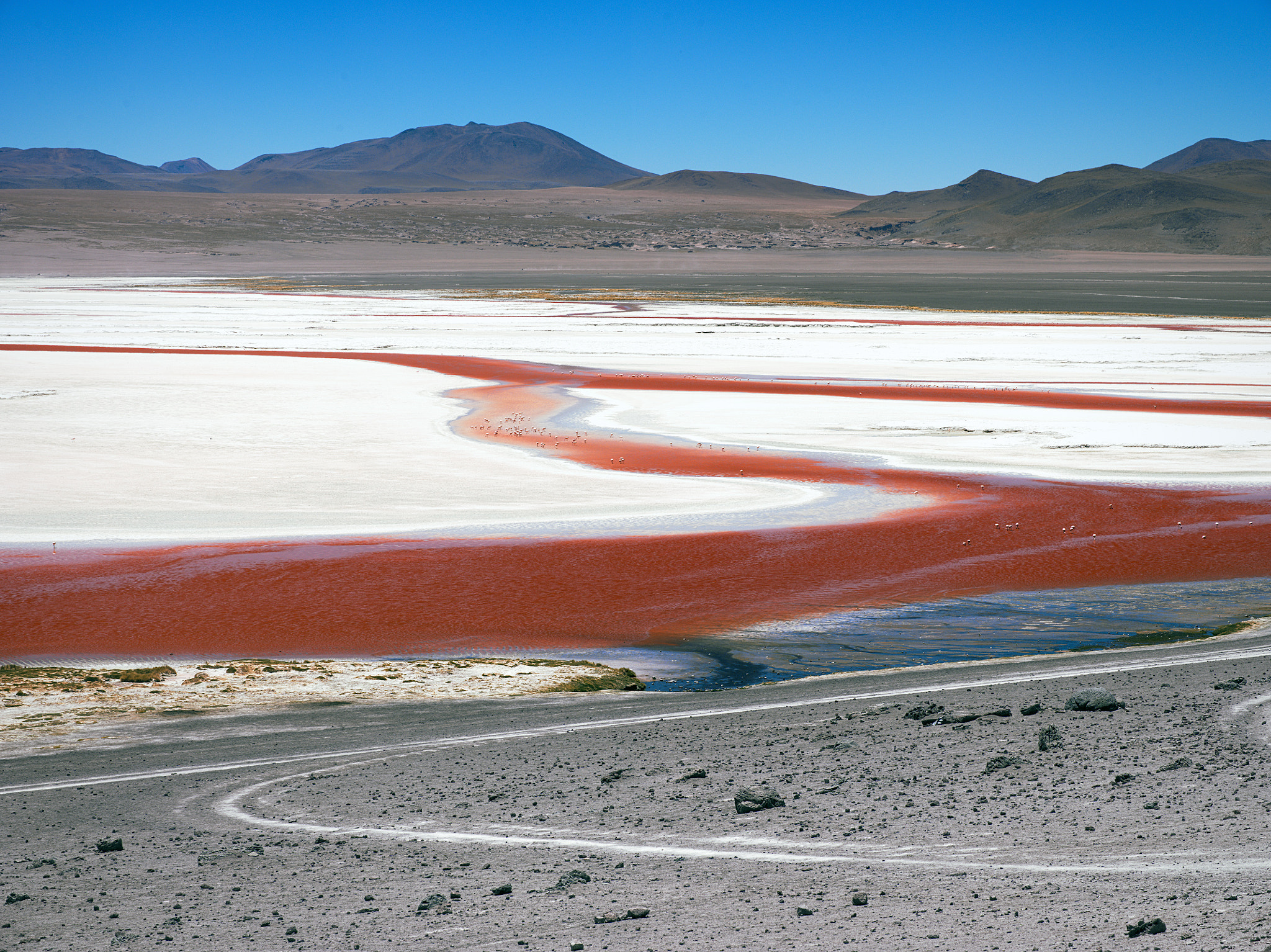 Hasselblad H3D sample photo. Laguna colorada photography