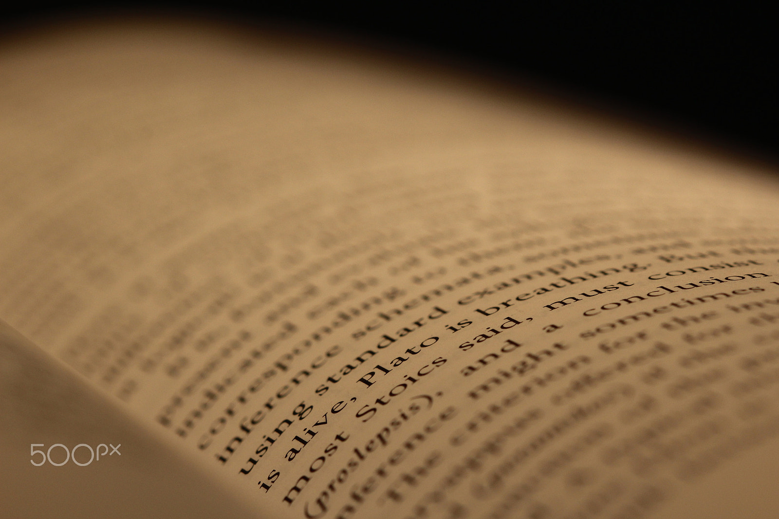 Canon EF 100mm F2.8 Macro USM sample photo. Book photography