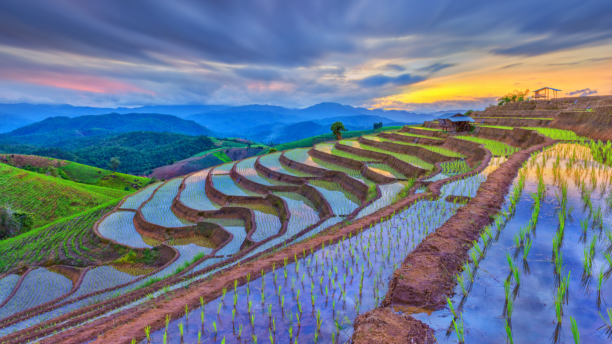 rice terrace by Chaiyun Damkaew / 500px