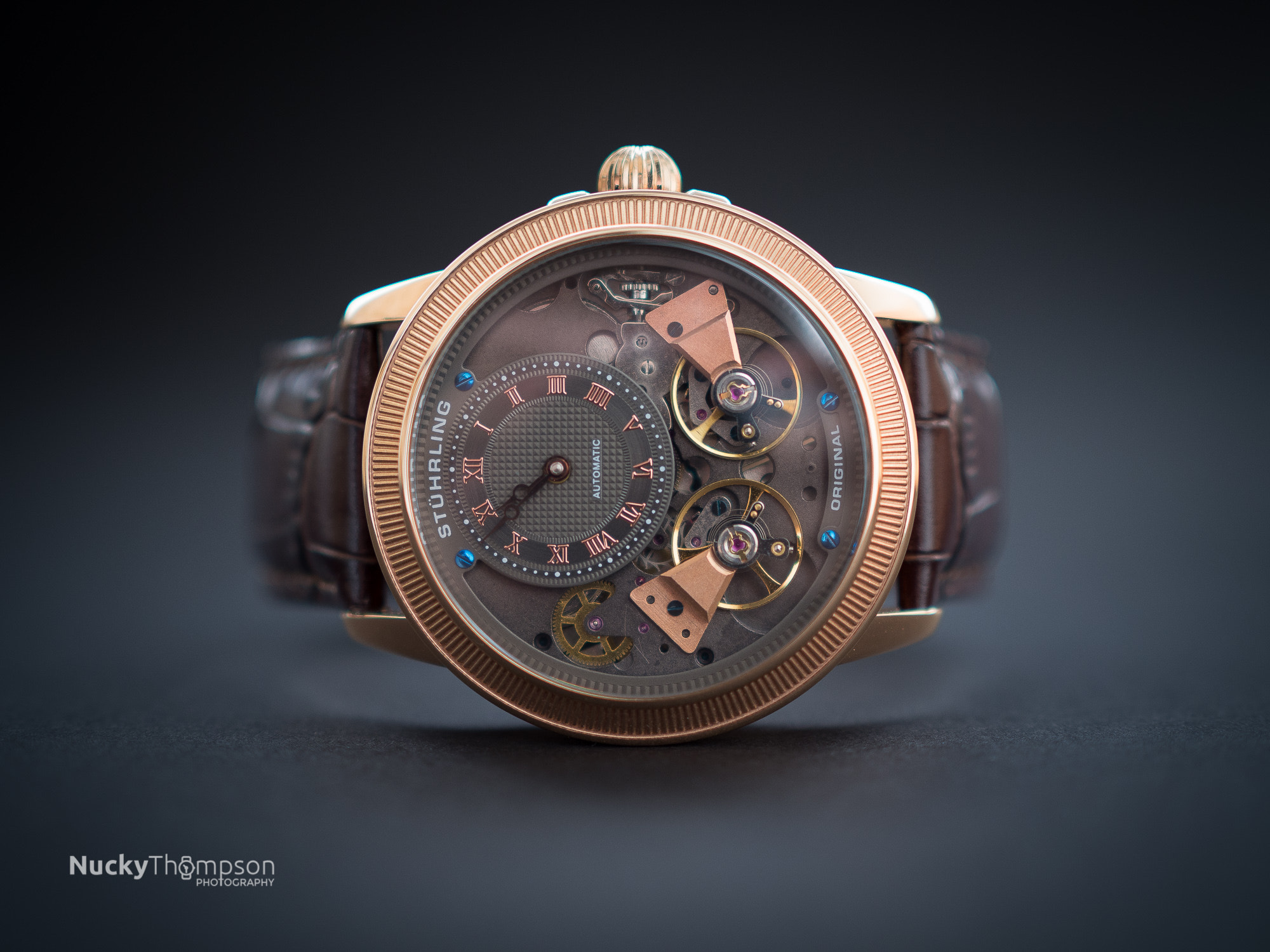 Olympus OM-D E-M10 II + Olympus M.Zuiko Digital 25mm F1.8 sample photo. Stuhrling double rotor gold mechanical watch photography