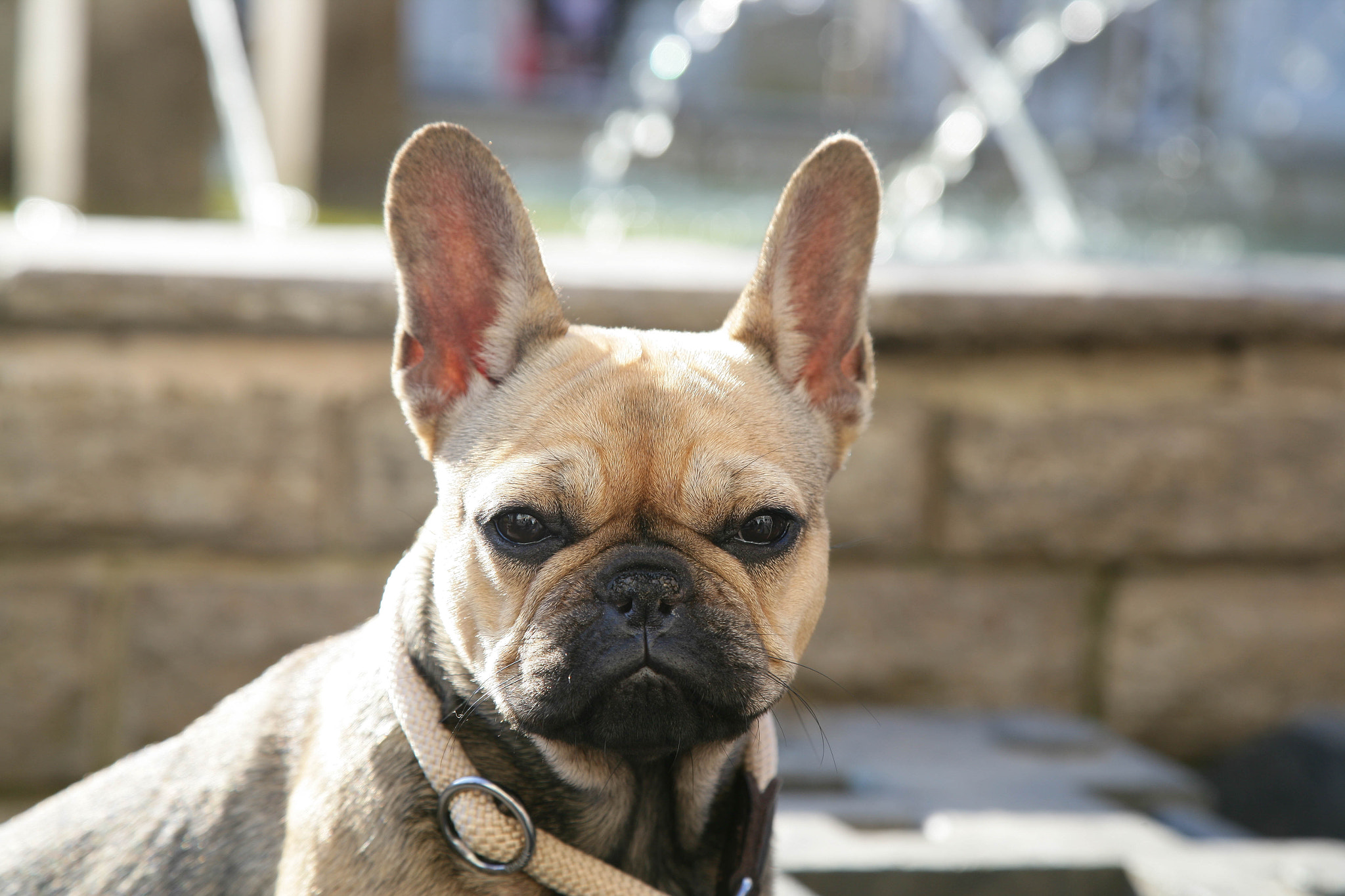 Canon EOS-1Ds Mark II sample photo. Wt2f0154.jpg photography