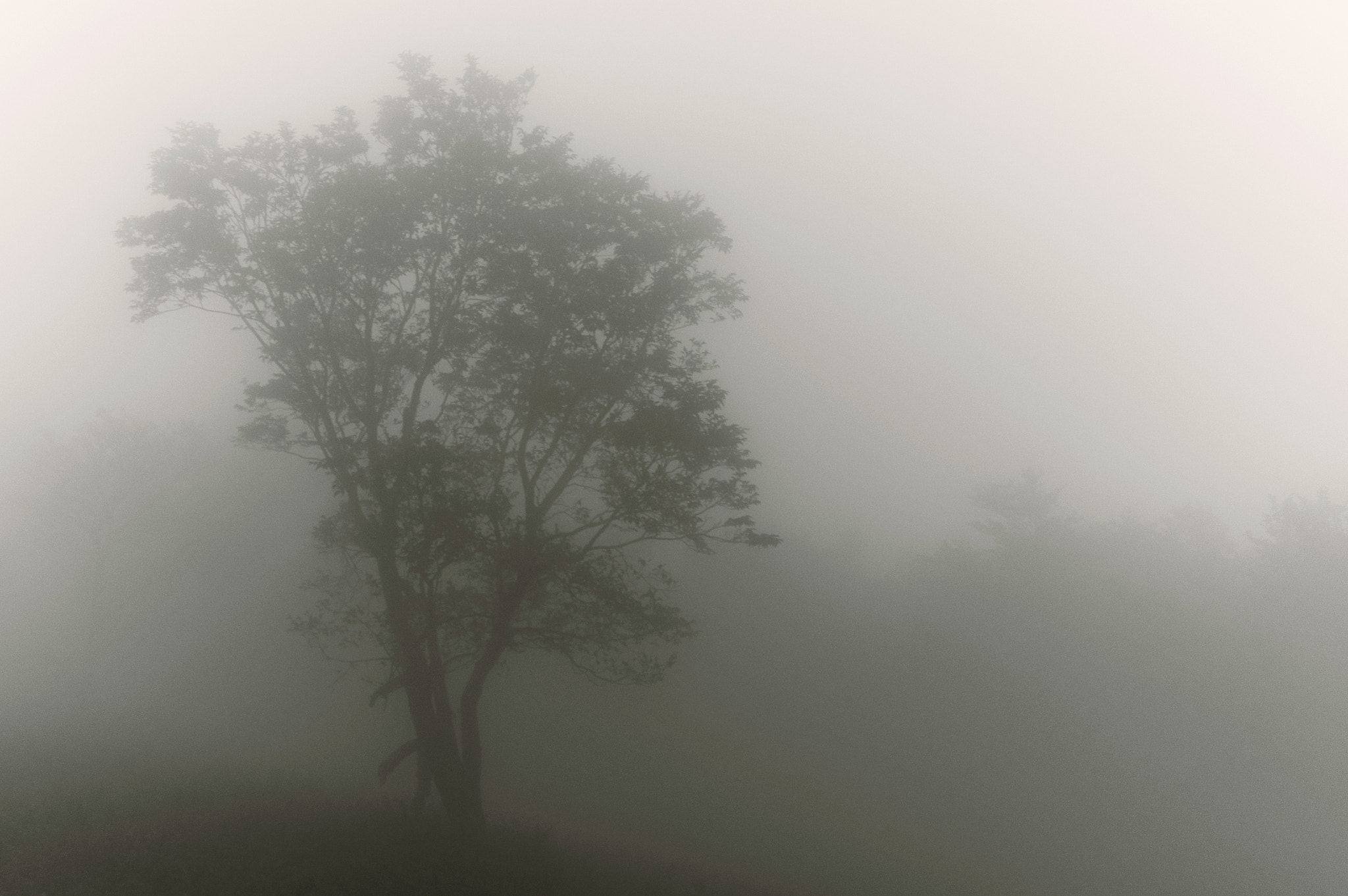 Pentax K-3 sample photo. Mt.oikedake / mie prefecture photography