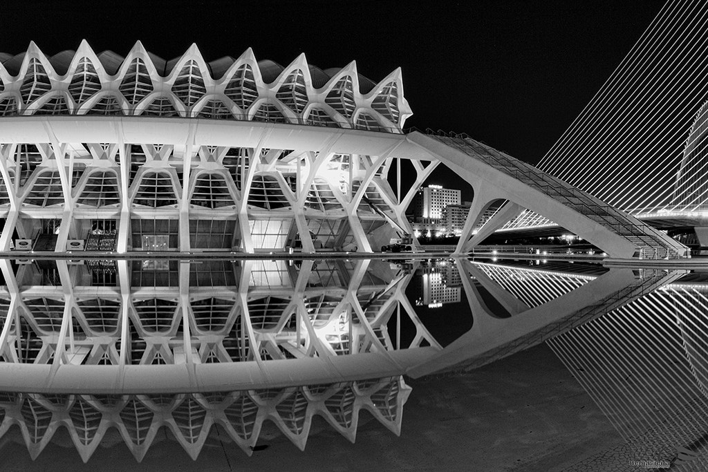 Canon EF 8-15mm F4L Fisheye USM sample photo. _mg_7704.jpg photography