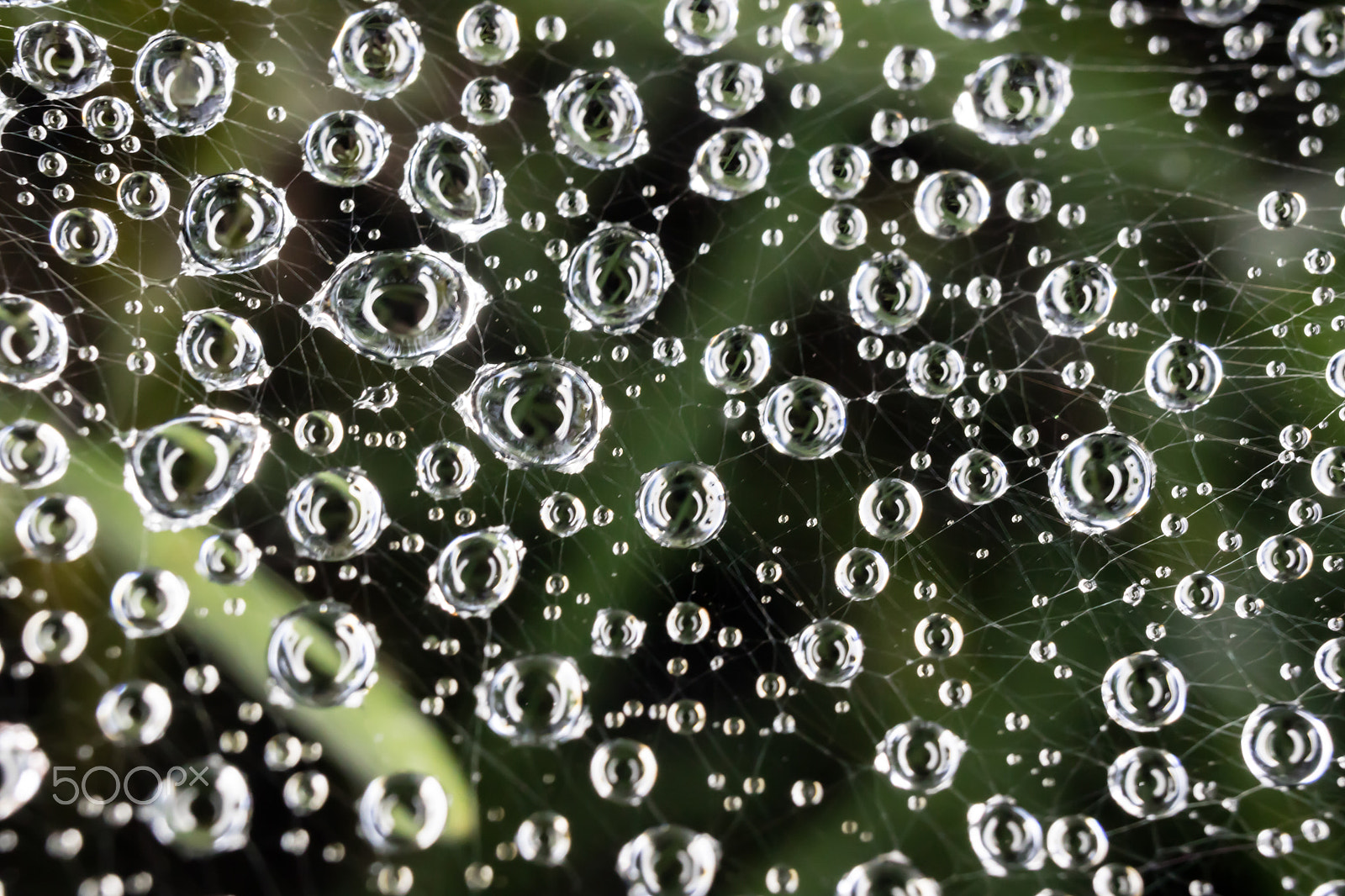Canon EF-M 28mm F3.5 Macro IS STM sample photo. Eyes photography