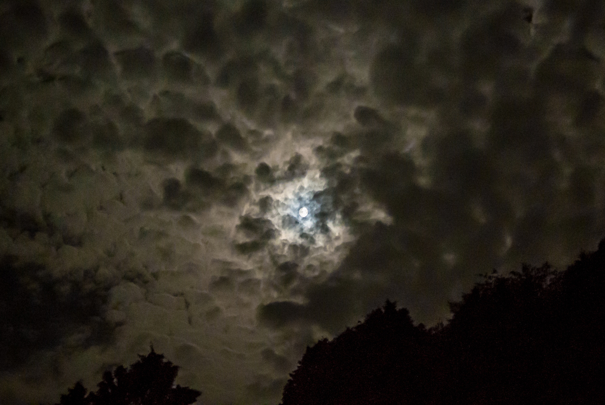 Nikon 1 J2 + Nikon 1 Nikkor 18.5mm F1.8 sample photo. Cloudy night photography