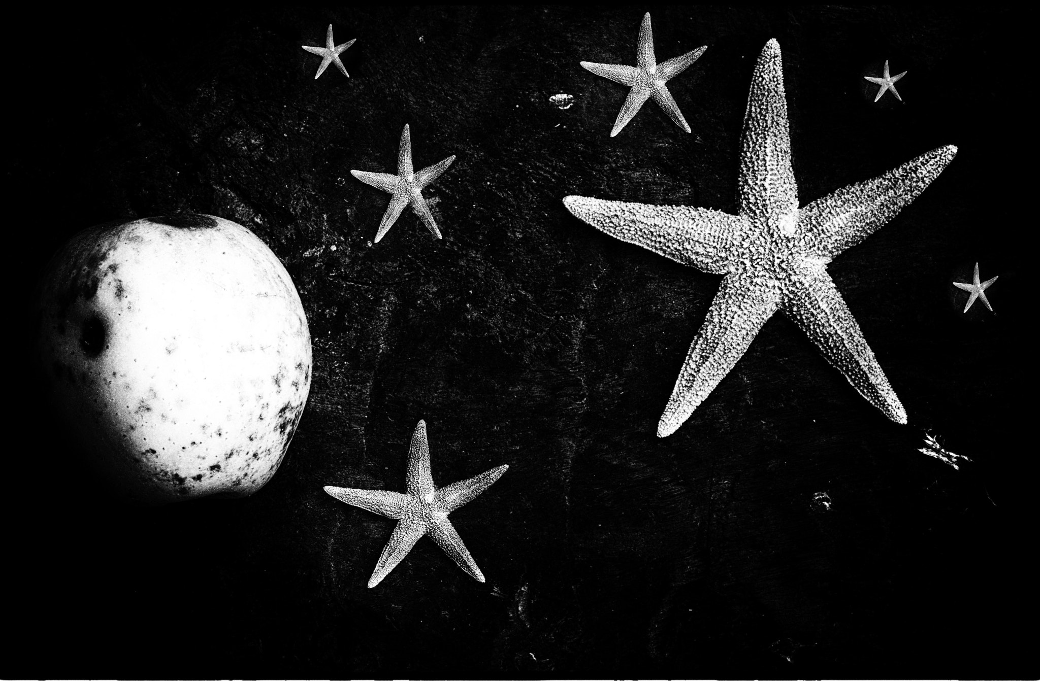 Nikon D200 + Sigma 50mm F2.8 EX DG Macro sample photo. La luno kaj steloj photography