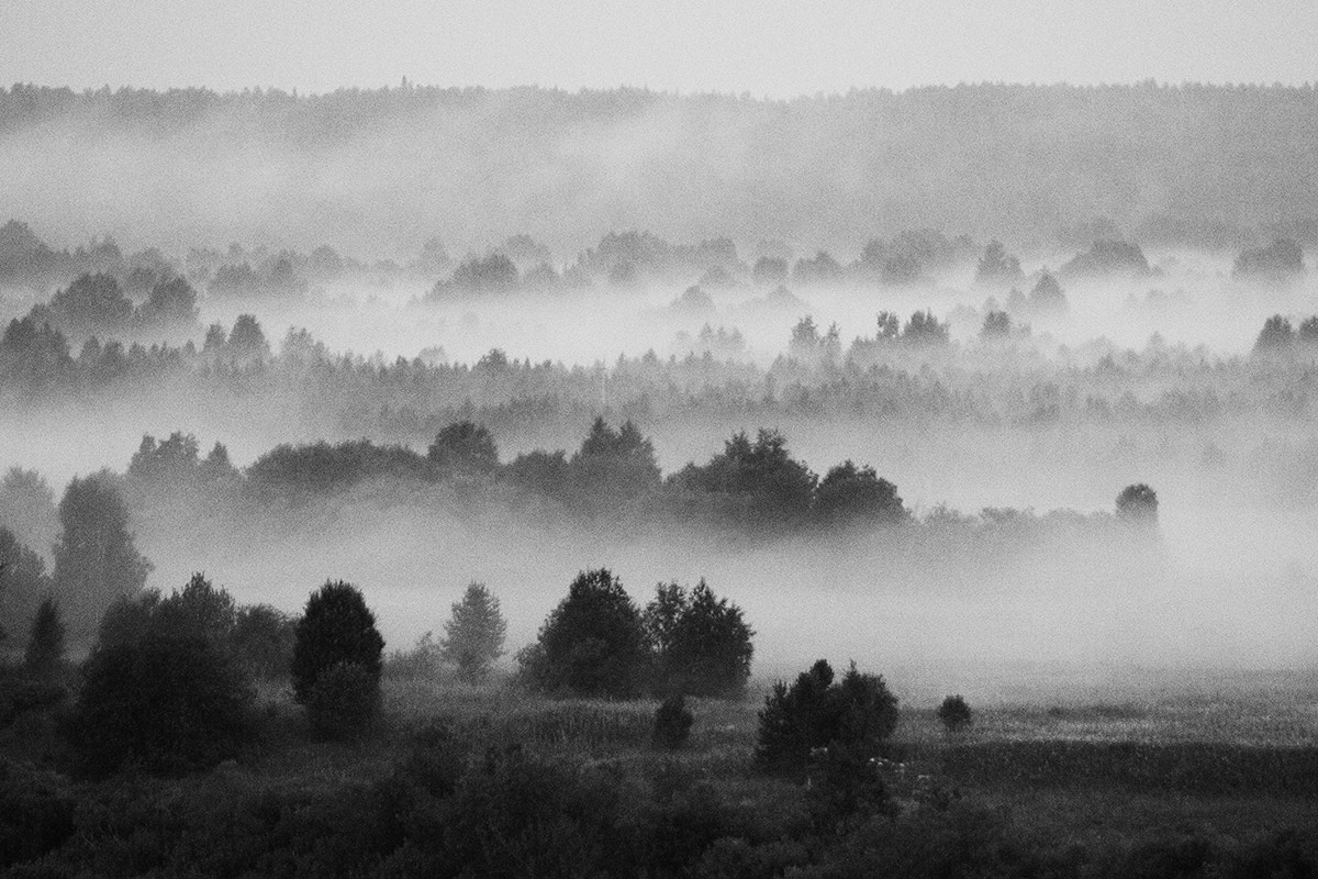 Nikon D300S sample photo. Morning photography