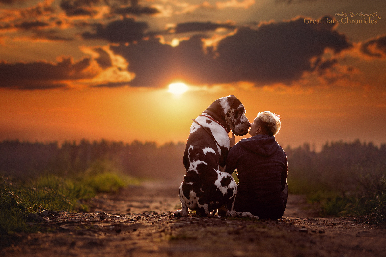 Wordless Conversation by Andy Seliverstoff / 500px