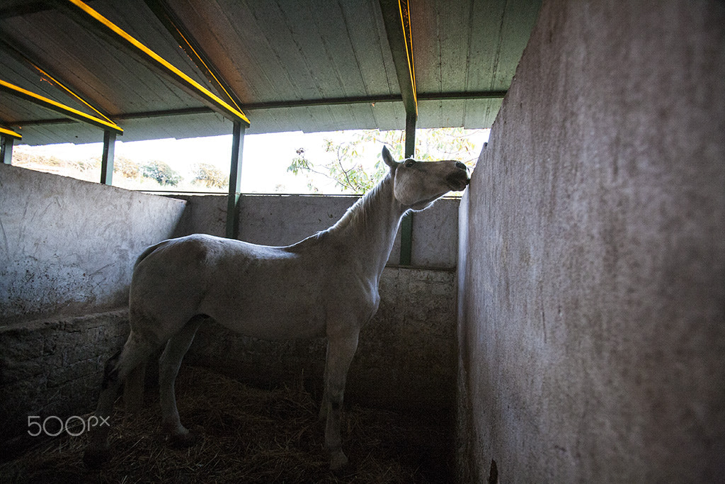 Canon EOS 5D + Canon EF 16-35mm F2.8L USM sample photo. Blanco photography