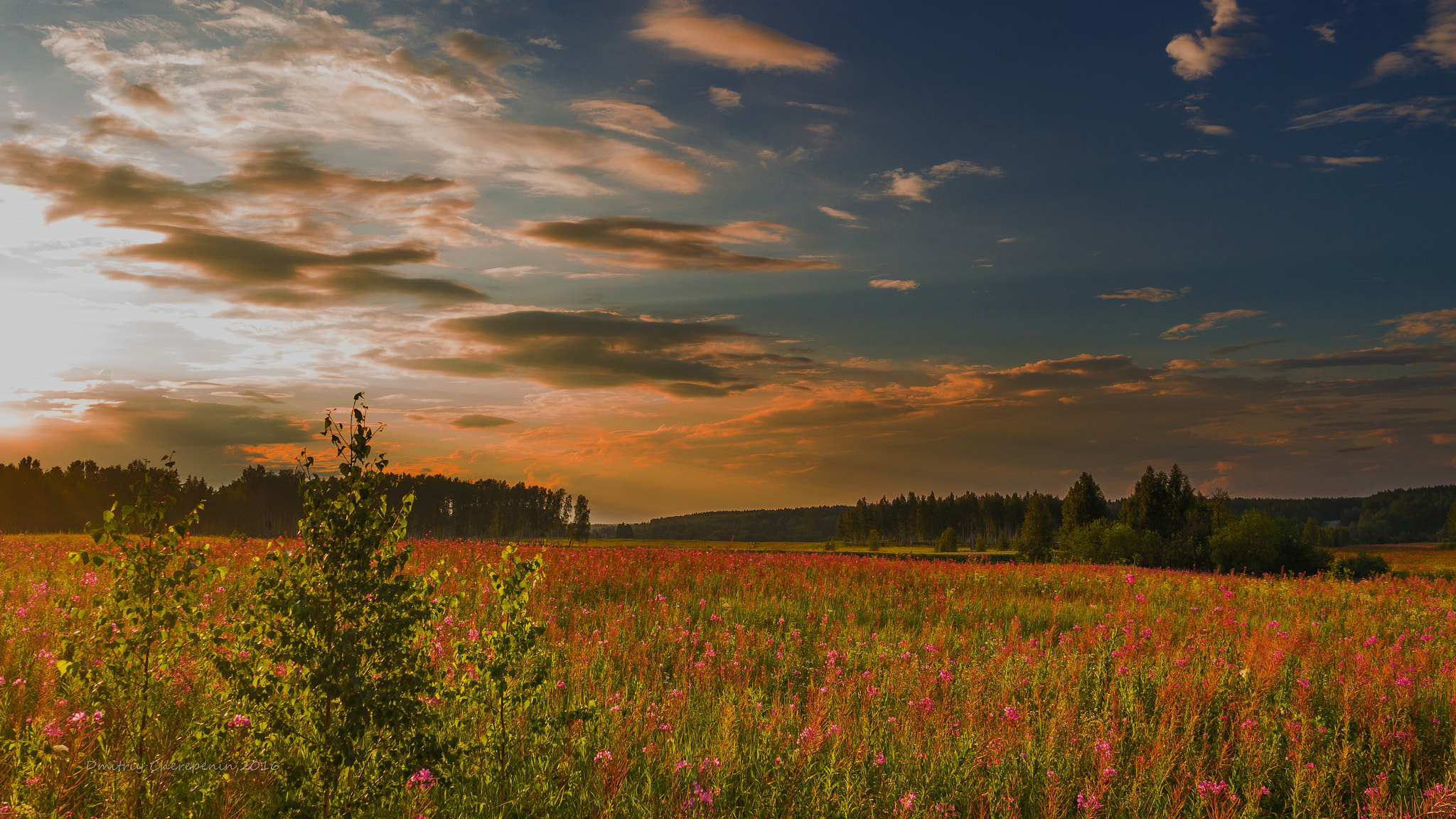 Samsung NX 20-50mm F3.5-5.6 ED sample photo. Waiting for the sunset photography