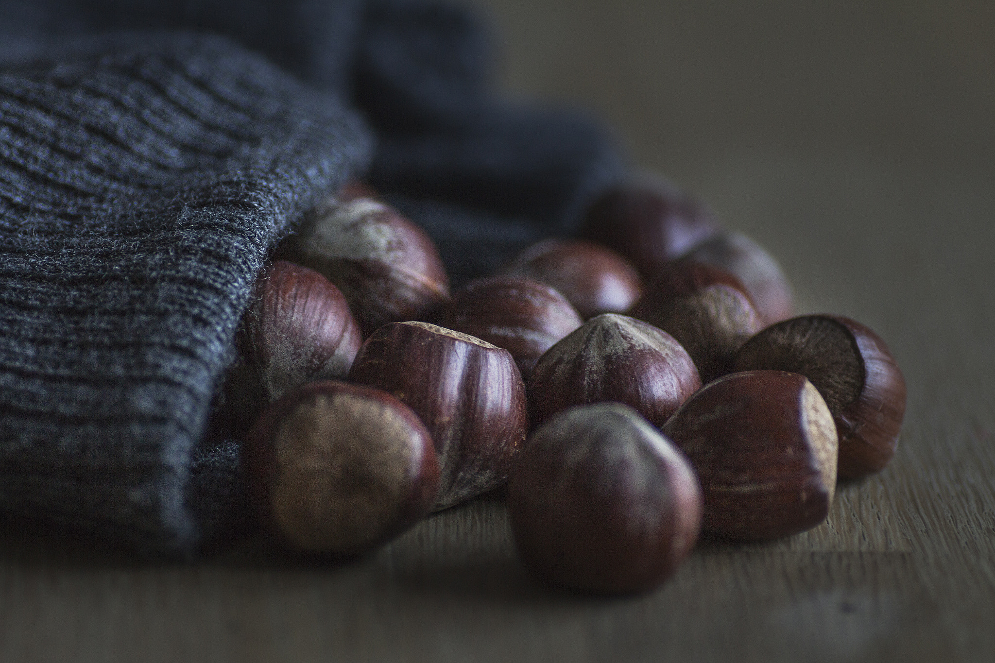 Tamron SP AF 90mm F2.8 Di Macro sample photo. Nuts photography