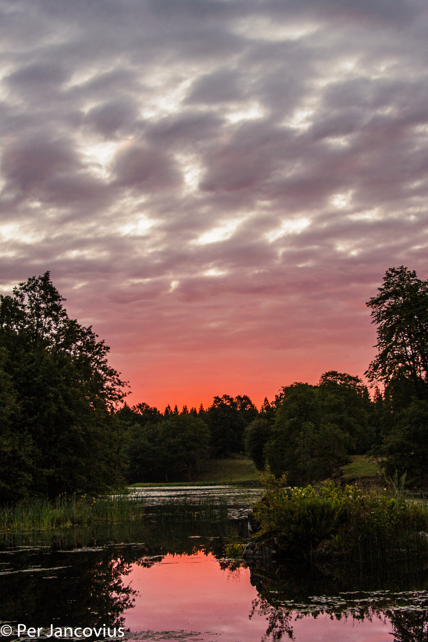 Canon EOS 40D sample photo. Morning glow photography