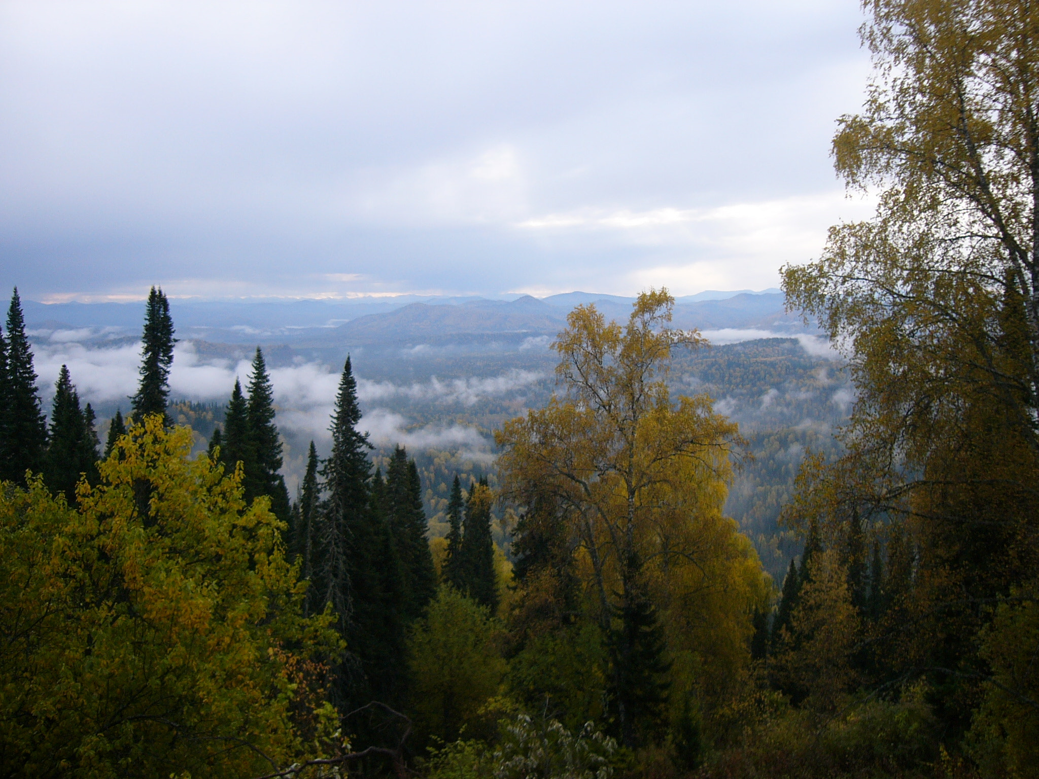 Panasonic DMC-FX1 sample photo. Fog photography