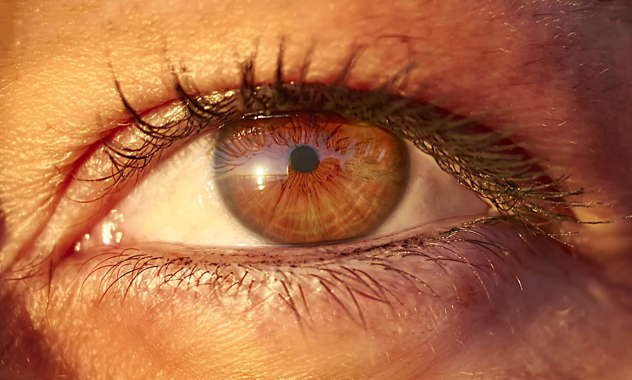 Canon EOS 70D + Canon EF 35mm F2 sample photo. Look inside the eye photography