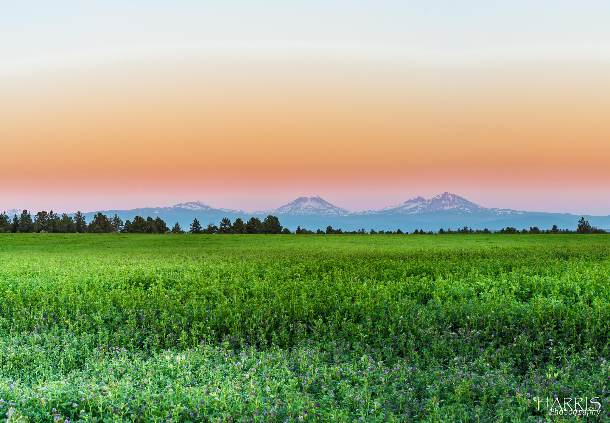 Nikon AF Micro-Nikkor 60mm F2.8D sample photo. Central oregon sunrise photography