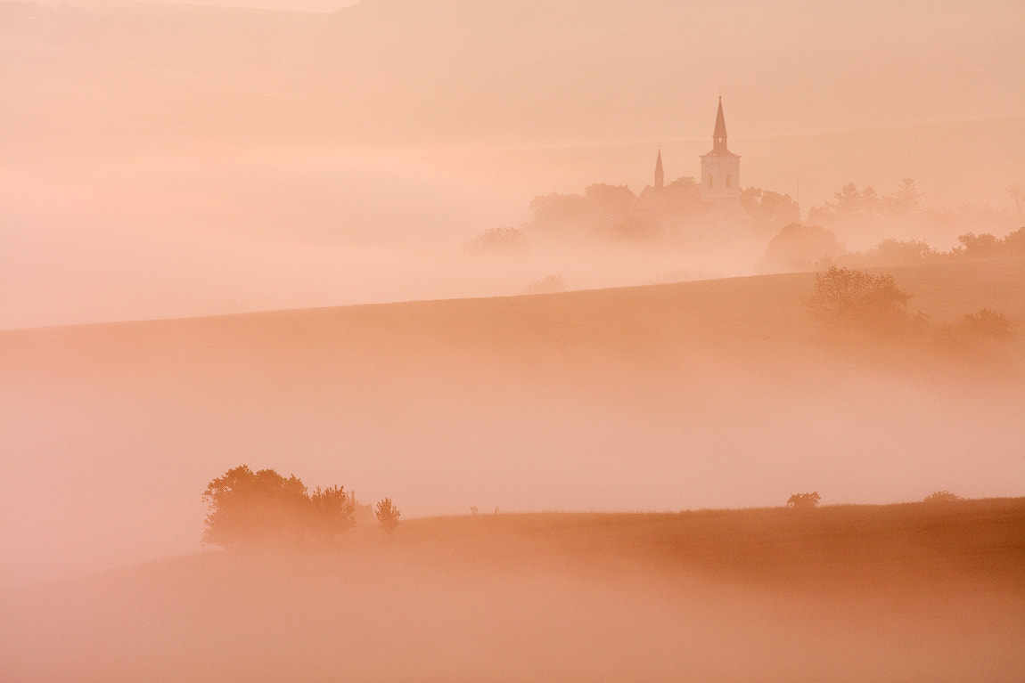 Canon EF 70-300mm F4-5.6L IS USM sample photo. Foggy morning photography