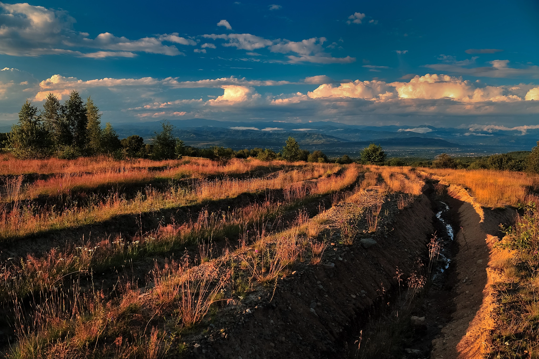 AF Zoom-Nikkor 28-85mm f/3.5-4.5 sample photo. Fields of gold photography