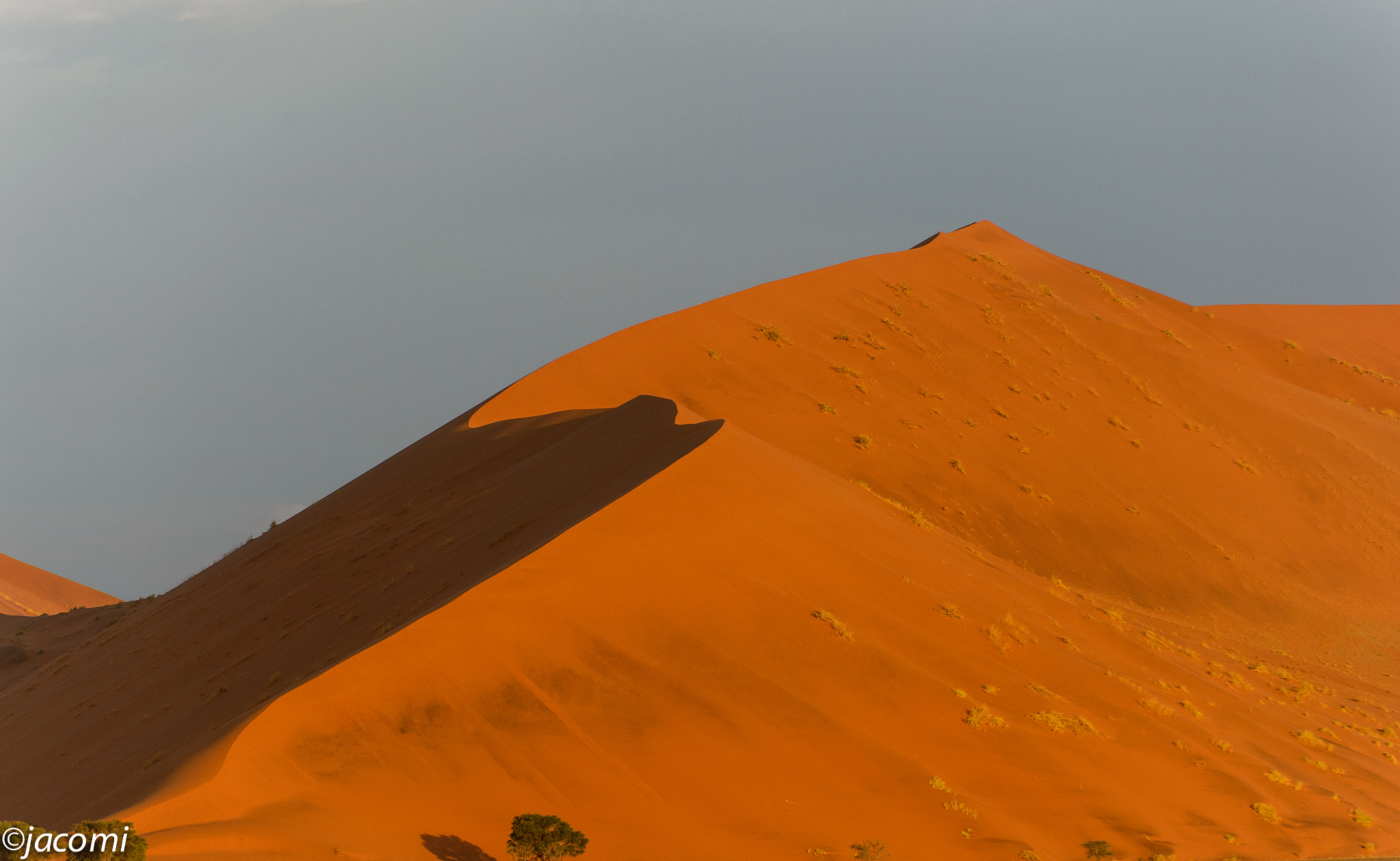 Nikon D4 sample photo. Untitled photography