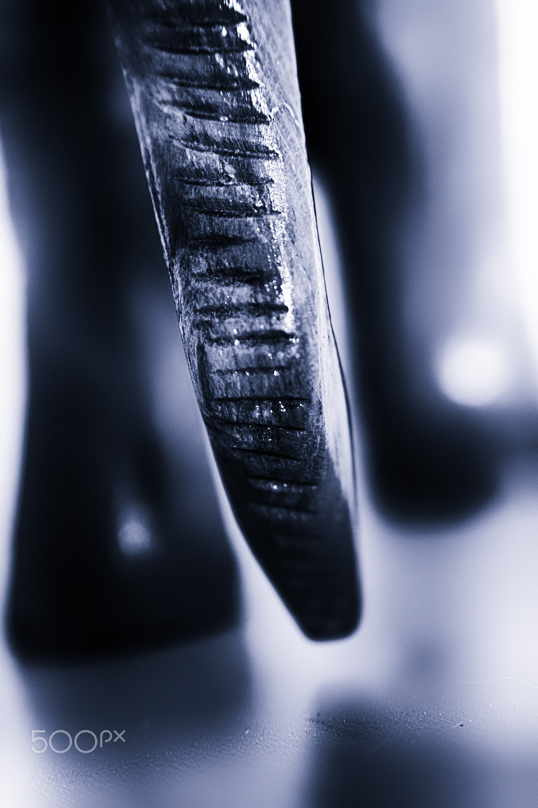 Samsung NX 20-50mm F3.5-5.6 ED sample photo. Elephant wood photography