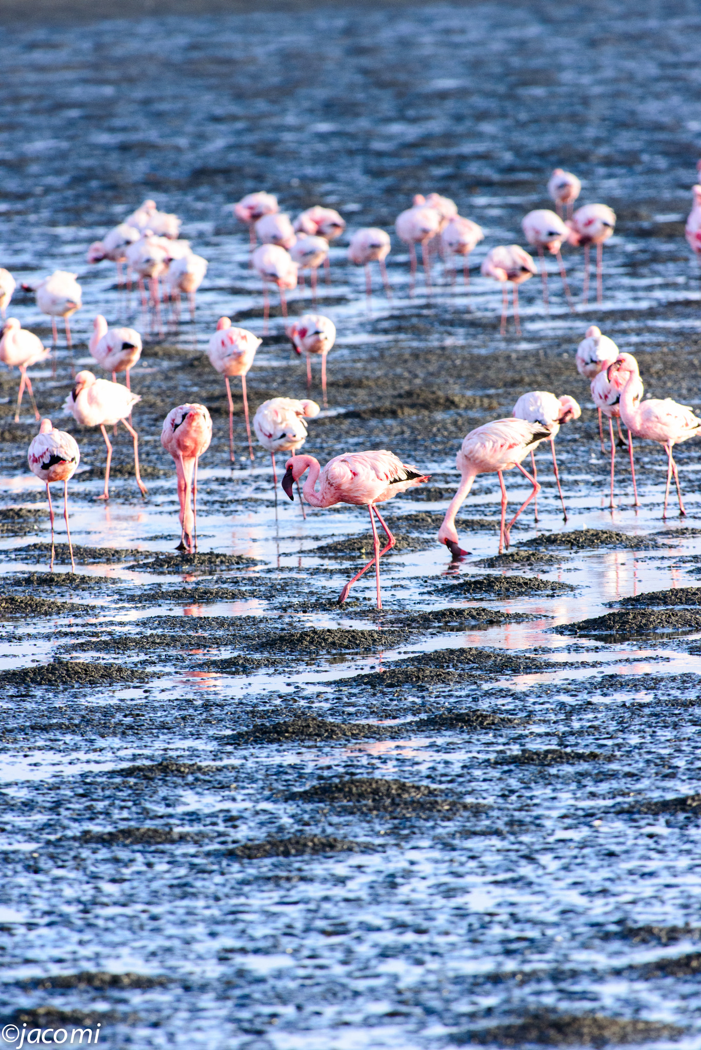 Nikon AF-S Nikkor 300mm F2.8G ED-IF VR sample photo. Untitled photography