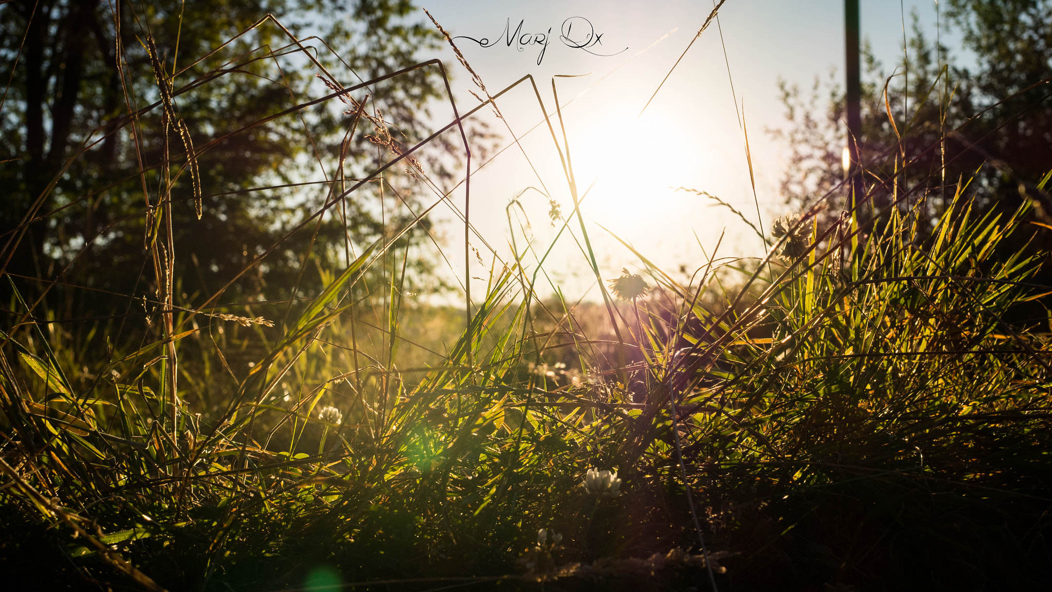 Sigma 30mm F2.8 DN Art sample photo. Olympus digital camera photography