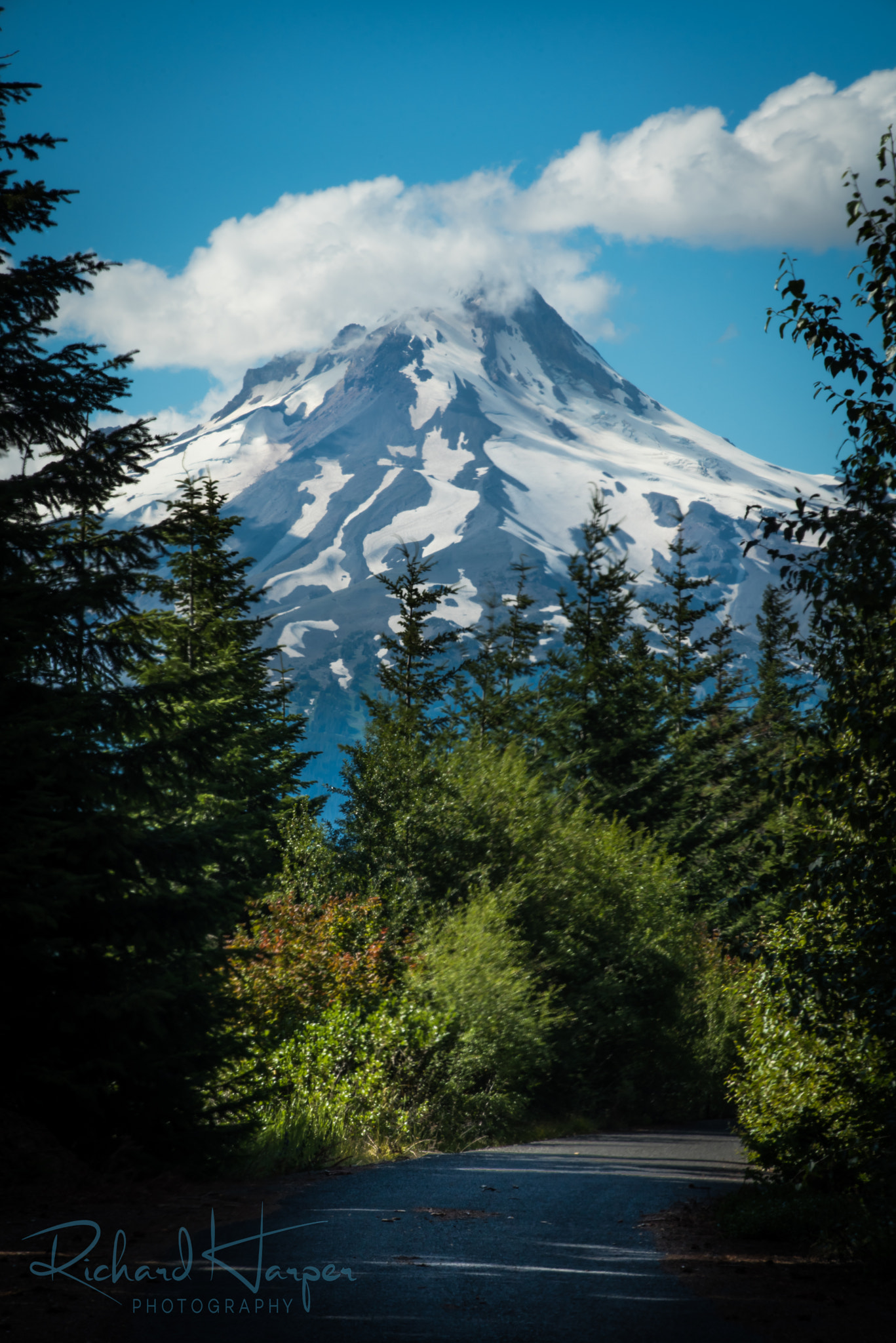 Nikon D750 + AF Zoom-Nikkor 80-200mm f/2.8 ED sample photo. Mid day hike. photography