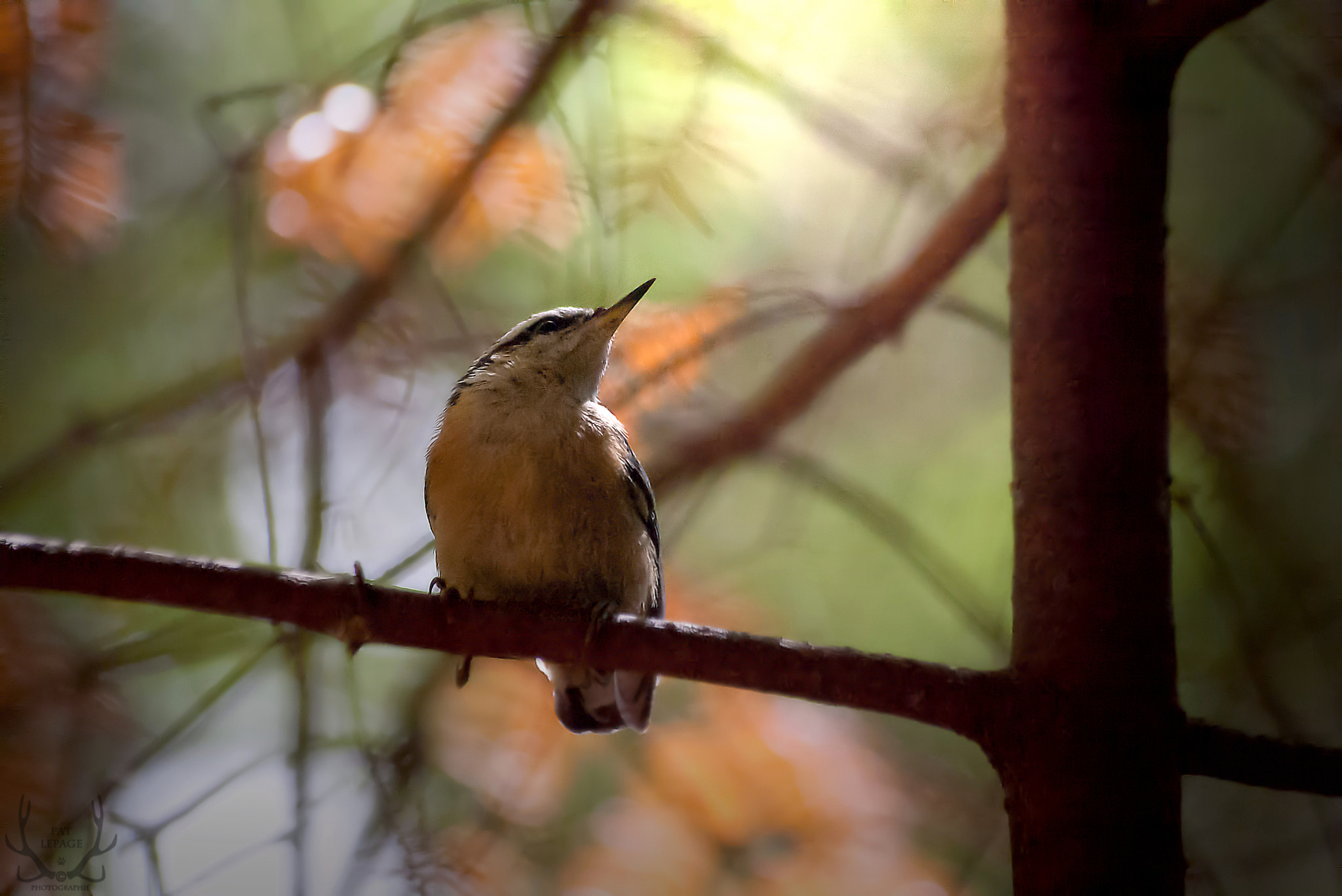 Pentax K100D + Sigma sample photo. A new friend photography