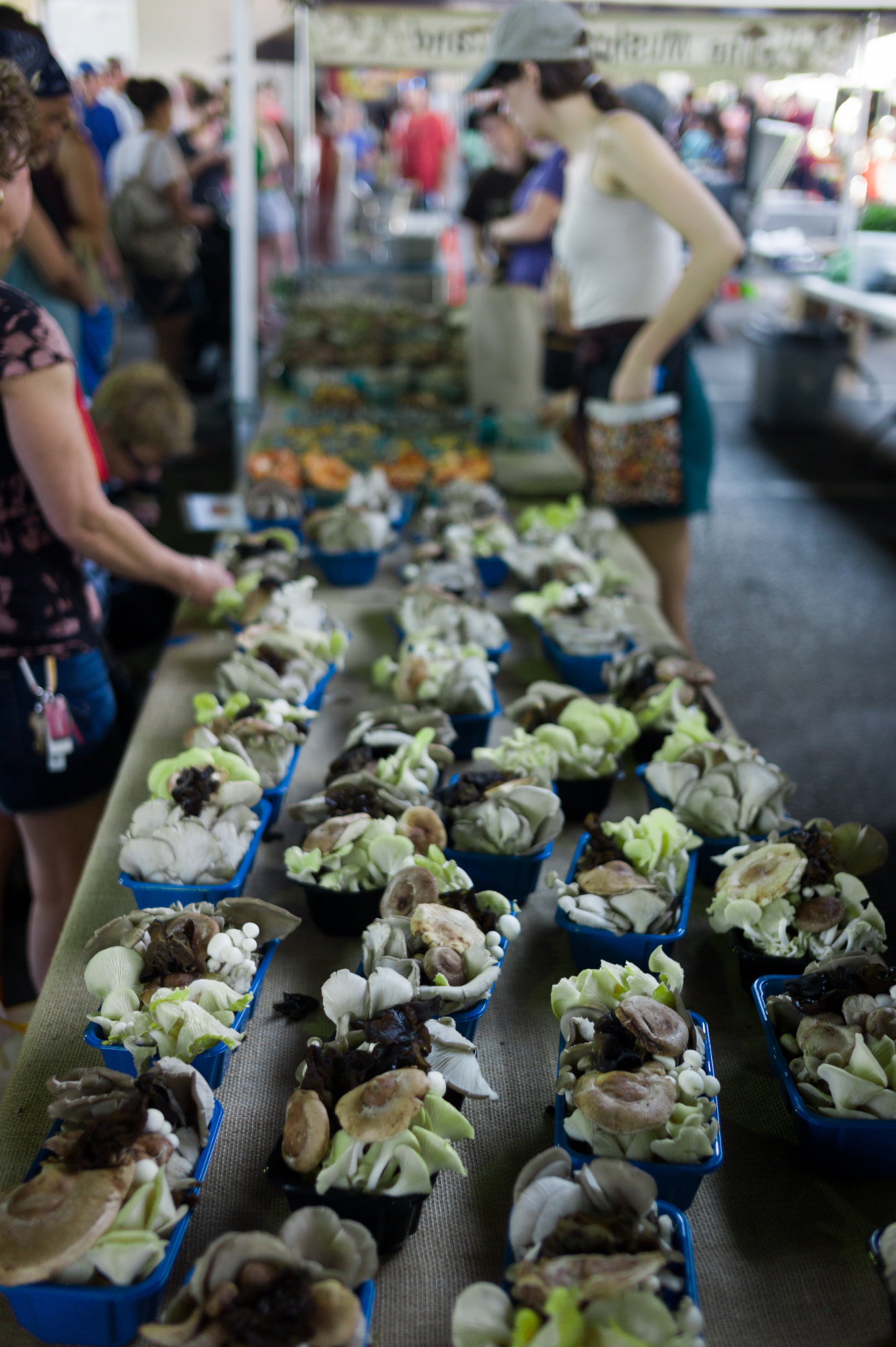 Leica M9 + Leica Summicron-M 35mm F2 ASPH sample photo