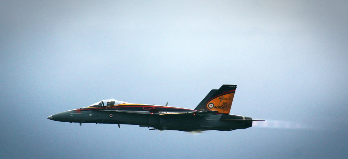 Canon EF 100-400mm F4.5-5.6L IS USM sample photo. Cf18 photography