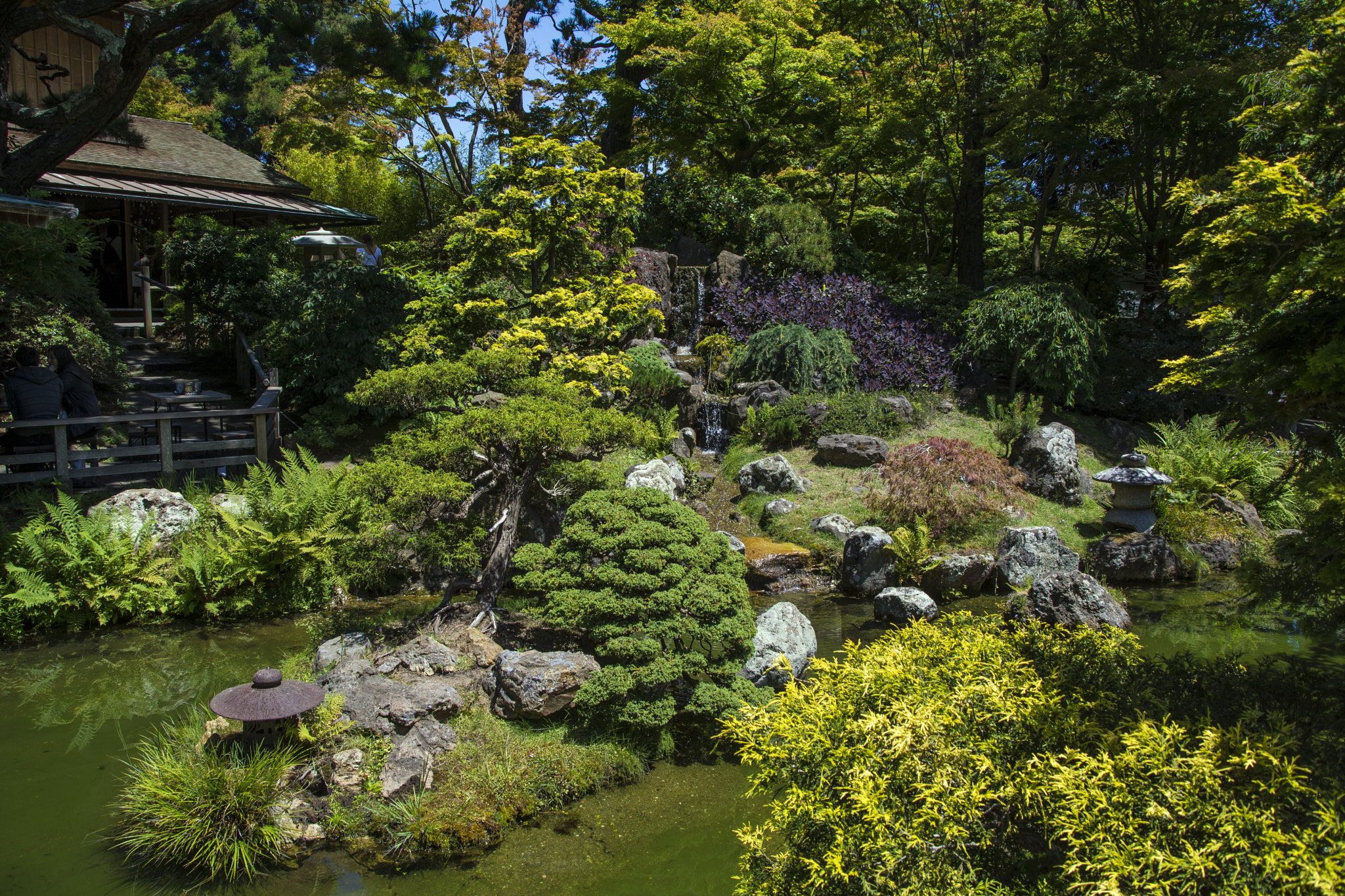 Nikon D7100 + Sigma 28-300mm F3.5-6.3 DG Macro sample photo. Japanese tea garden photography