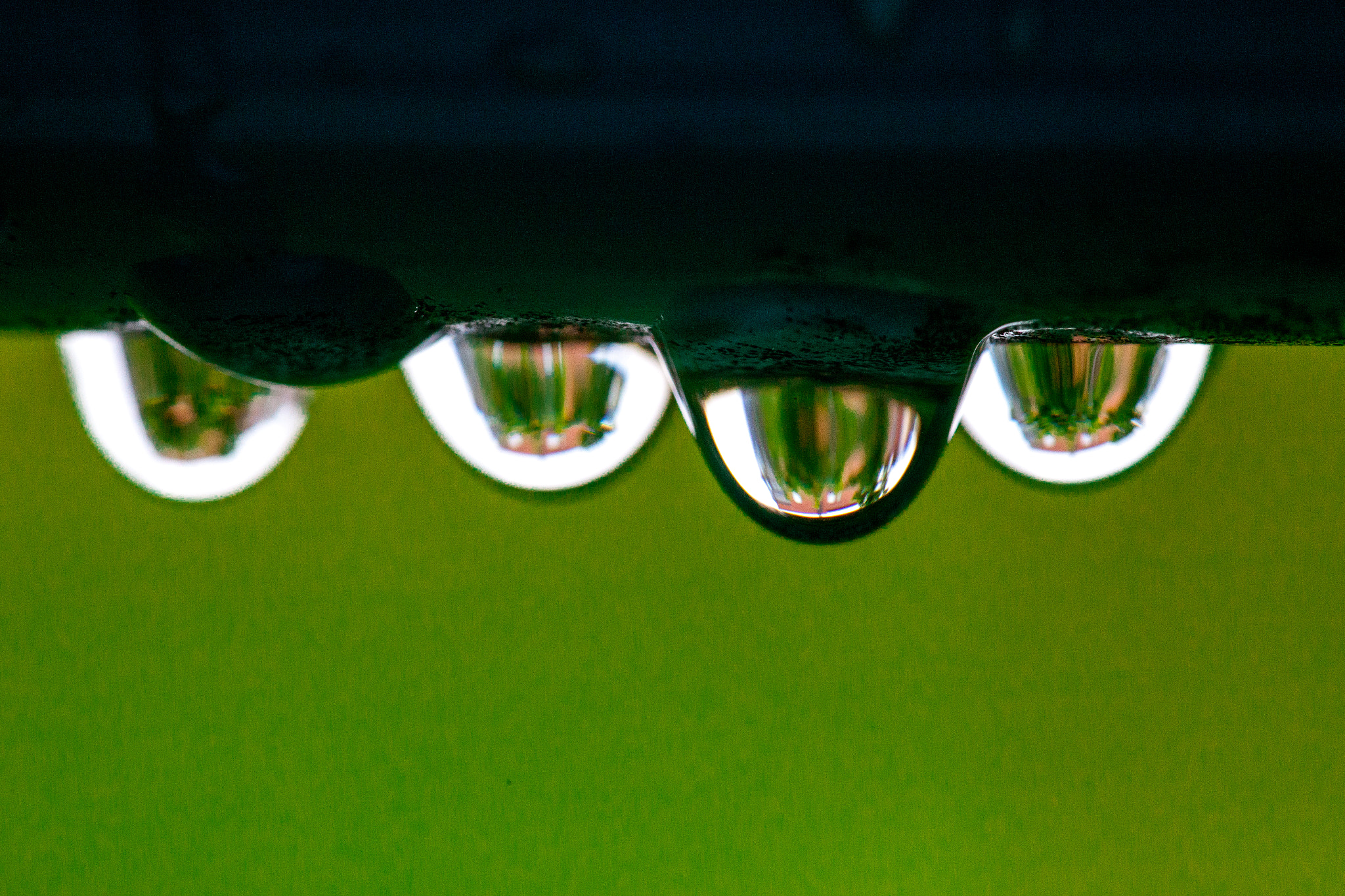 Sigma 105mm F2.8 EX DG OS HSM sample photo. 045/365: drops photography