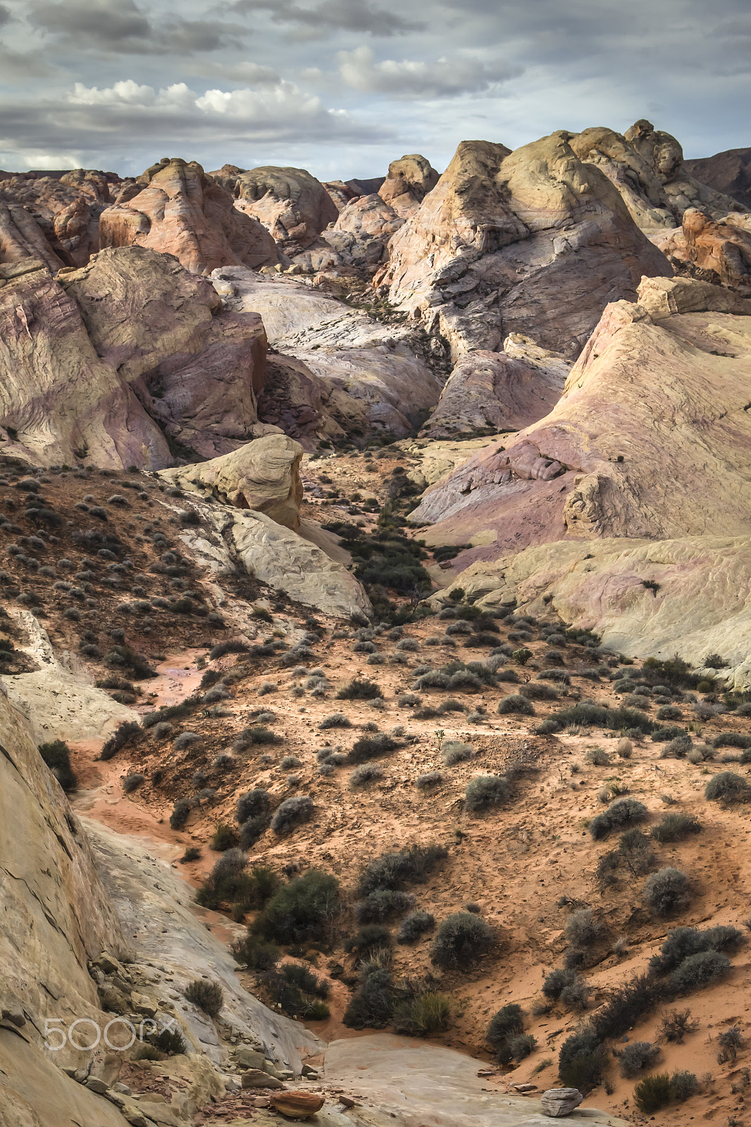 Canon EOS-1D Mark IV sample photo. Valley of fire state park - dawn photography
