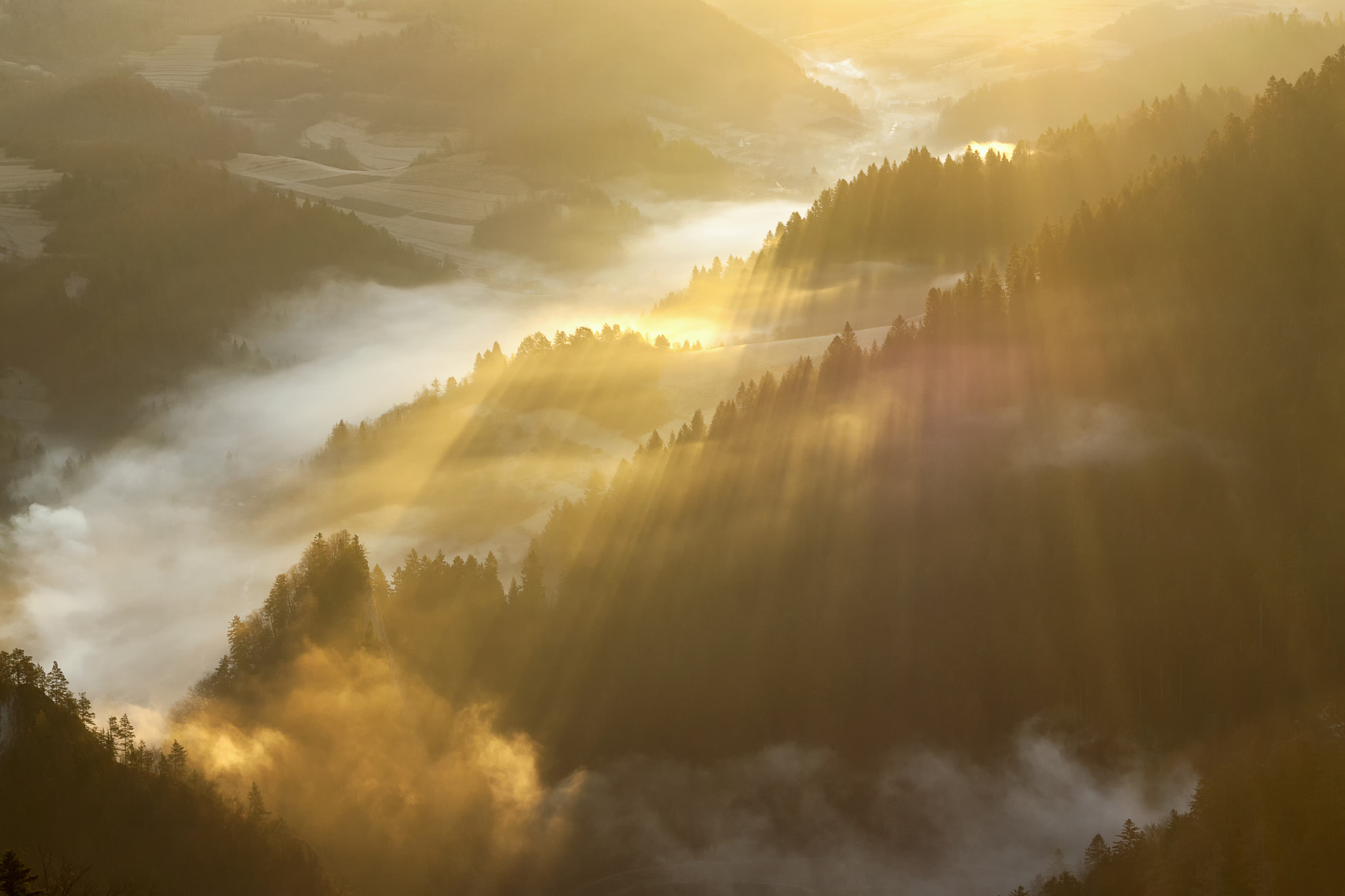 Canon EOS 50D + Canon EF 50mm F1.8 II sample photo. Foggy morning in pieniny mountains photography