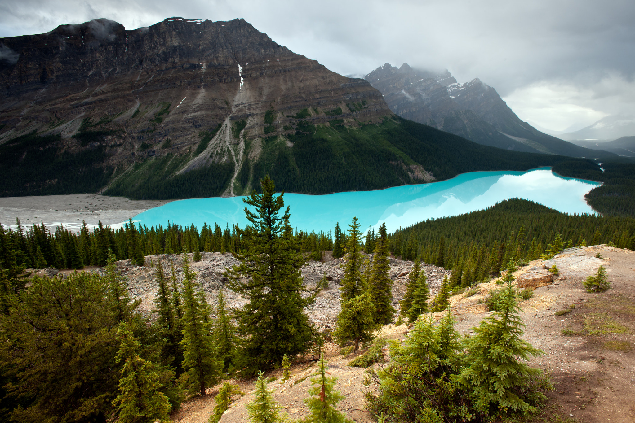 Nikon D3X sample photo. [ peyto lake ] photography
