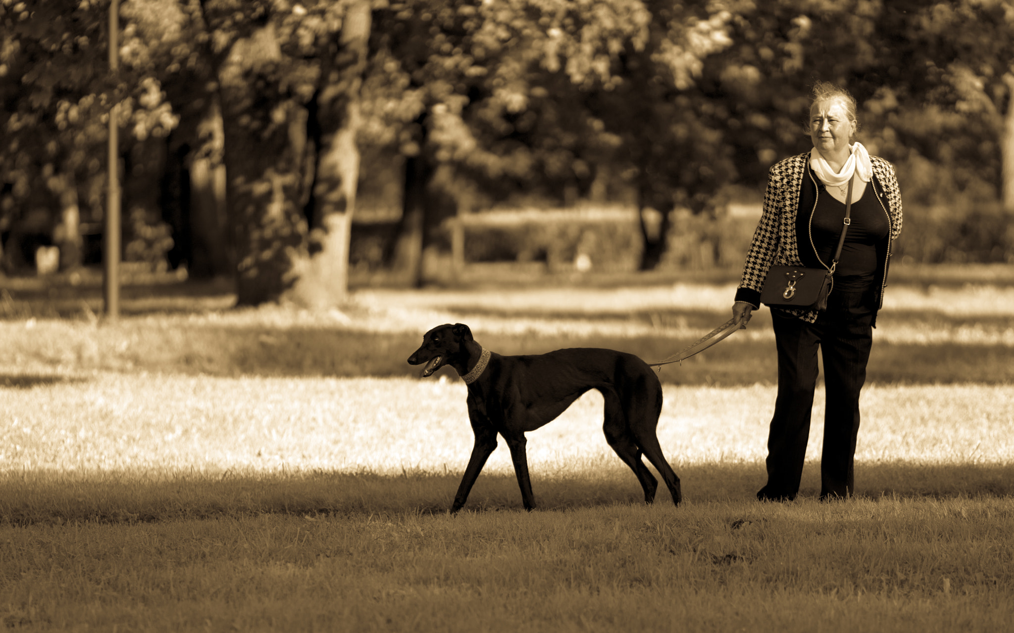 Sony a7R II + Canon EF 135mm F2L USM sample photo. Lady with a dog. photography