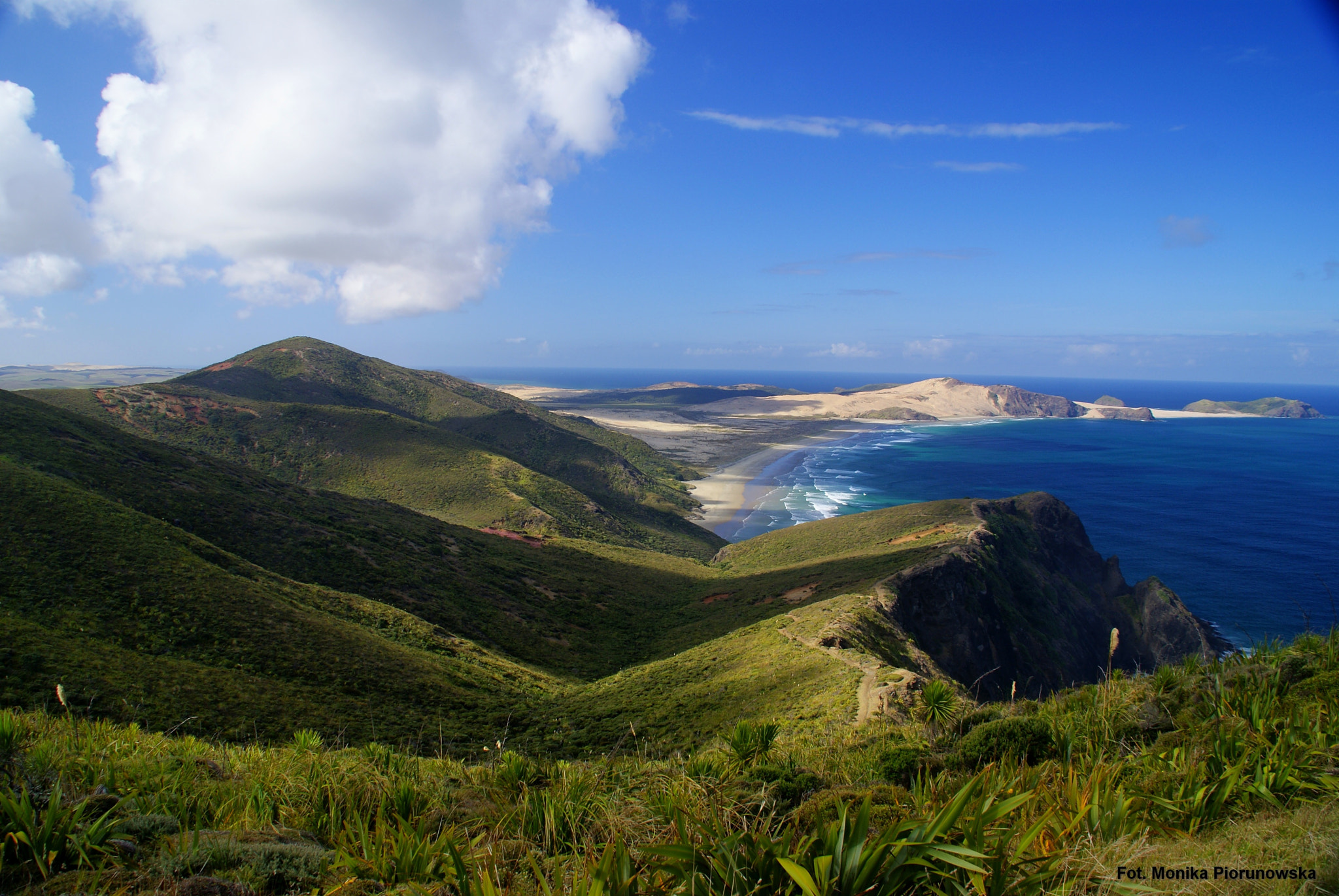 Sony Alpha DSLR-A300 sample photo. Cape reinga, new zealand photography
