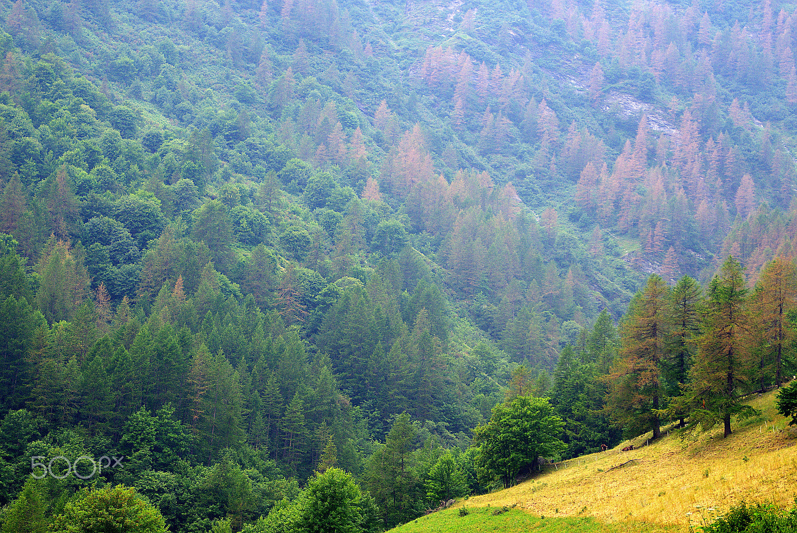 Tamron AF 18-200mm F3.5-6.3 XR Di II LD Aspherical (IF) Macro sample photo. Mountain texture photography