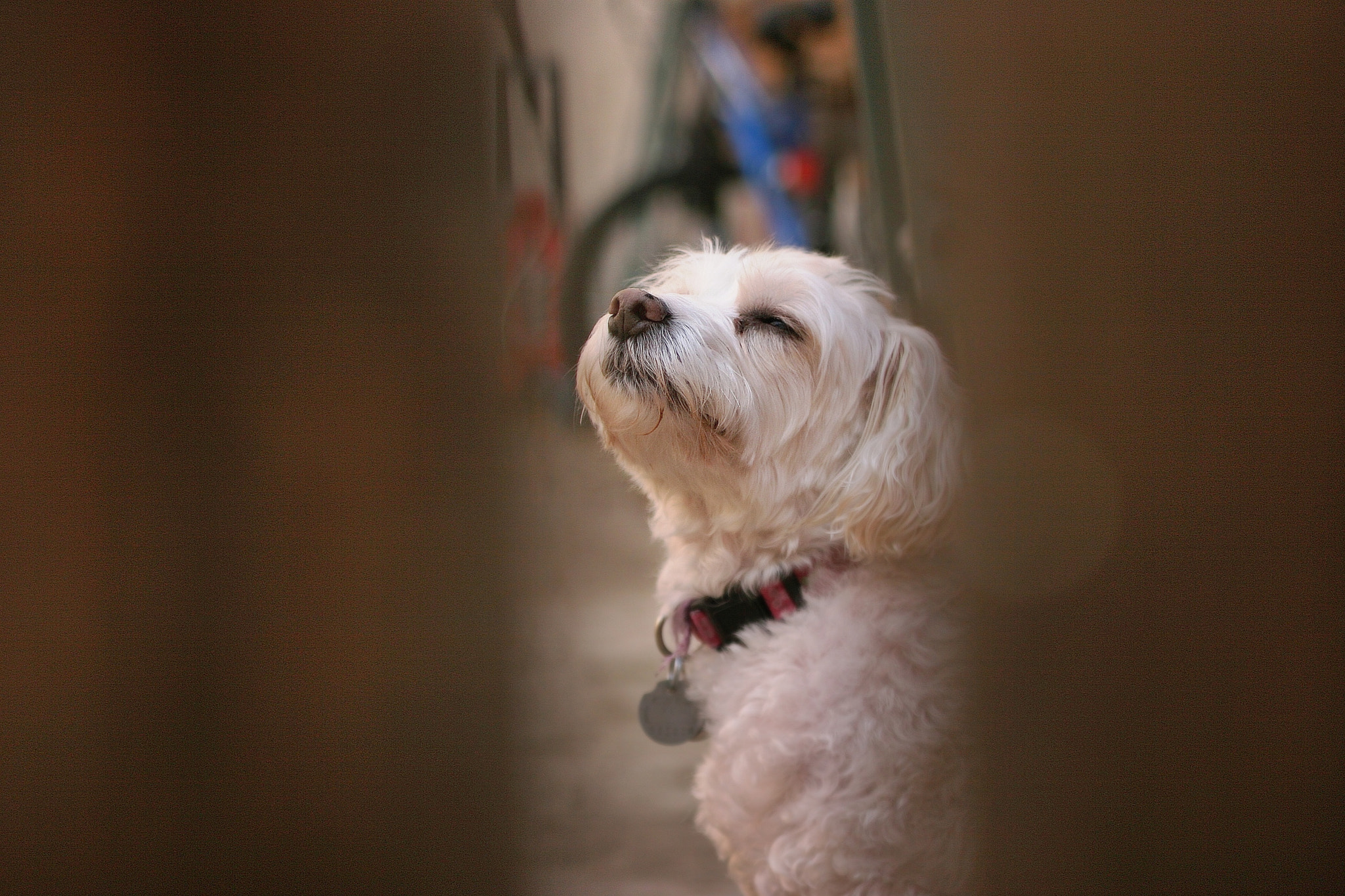 Canon EOS 20D + Canon EF 100-300mm f/5.6L sample photo. Enjoy the sun photography