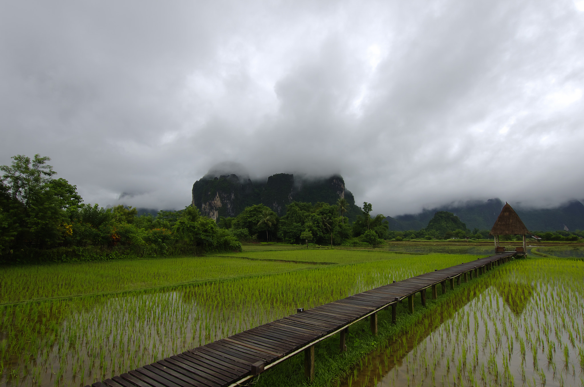 Pentax K-5 IIs sample photo. Rice fields photography